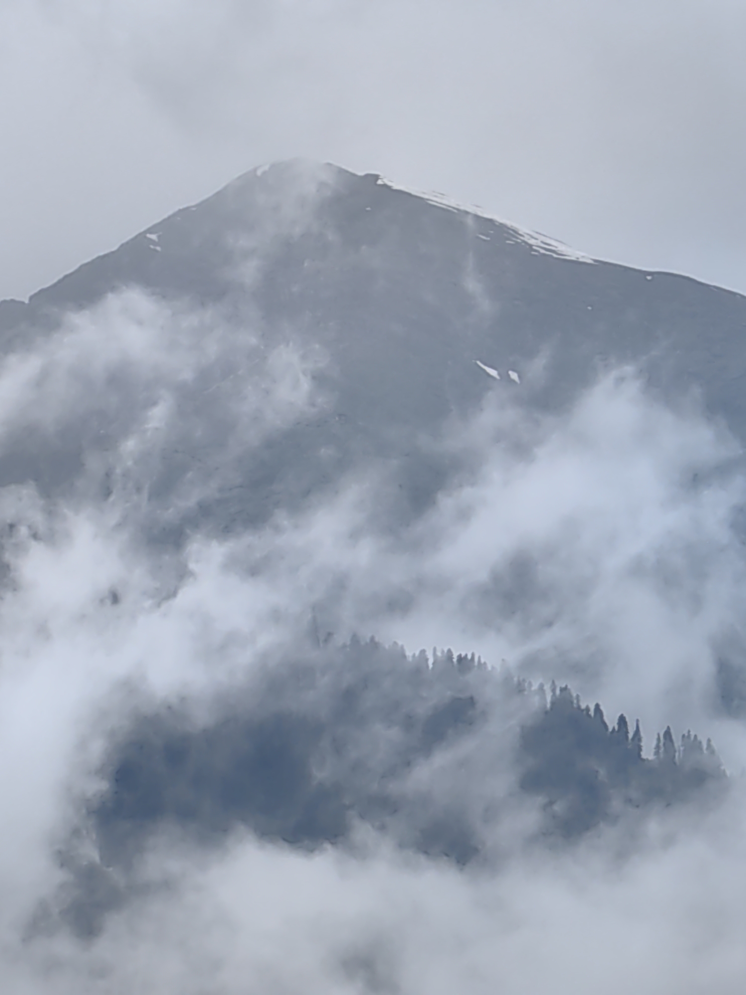 The image shows a mountain peak partially obscured by clouds. A line of trees is visible in the foreground, also partially hidden by fog. The sky is overcast and appears to be a pale grey. The scene is likely in the vicinity of Vashisht, India, given the context of the provided hints, which depict mountainous terrain and prevalent cloud cover often seen in the Himalayan region.