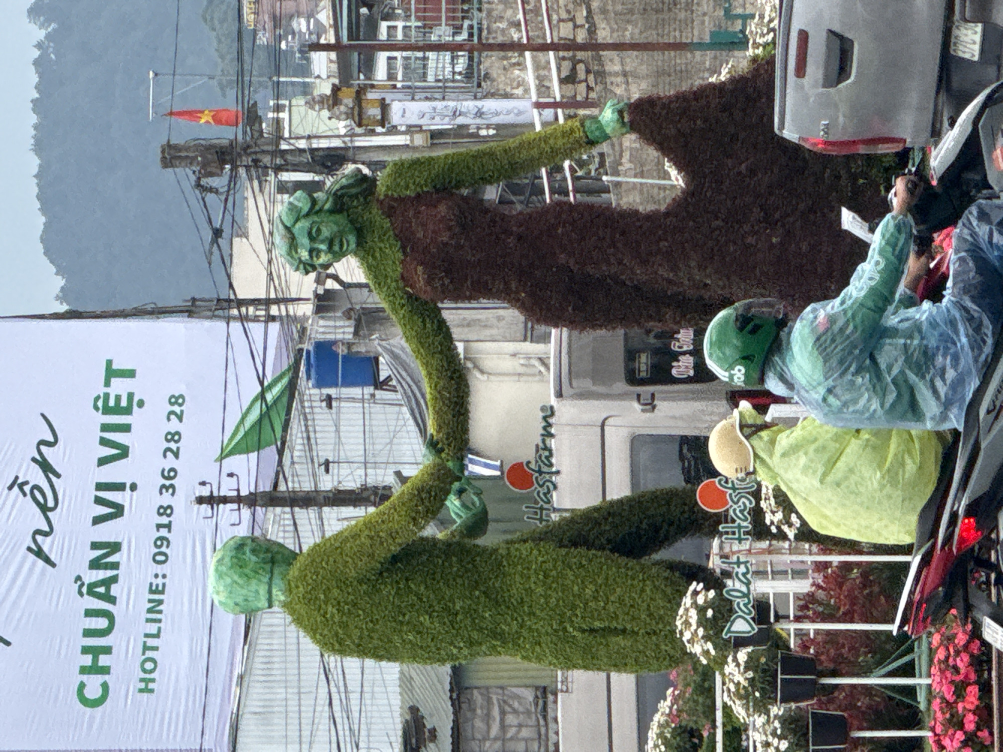 This image captures a scene in Da Lat, Vietnam, likely during the daytime. The primary subjects are two large topiary sculptures, appearing as stylized human figures, covered in lush green foliage. One sculpture is positioned in the foreground, while the other is slightly behind and to the right, with their arms interlinked.
Behind the topiaries, a white banner with Vietnamese text is visible. The text reads "nên CHUẨN VỊ VIỆT HOTLINE: 0918 36 28 28". Further in the background, there are several vehicles, including a silver car and a motorcycle with a rider wearing a green helmet and a light blue rain jacket. Parts of buildings and utility poles with electrical wires are also visible, suggesting an urban or semi-urban setting.
Several signs are present, one with the text "Hasfarme" and another that appears to be "Dalat Hasfa". The presence of these signs, along with the distinctly cooler climate often associated with Da Lat, hints at a possible event or attraction related to local produce or tourism. The weather appears to be overcast or hazy, typical of Da Lat's climate. The overall impression is a blend of nature-inspired art within a functional, everyday environment.