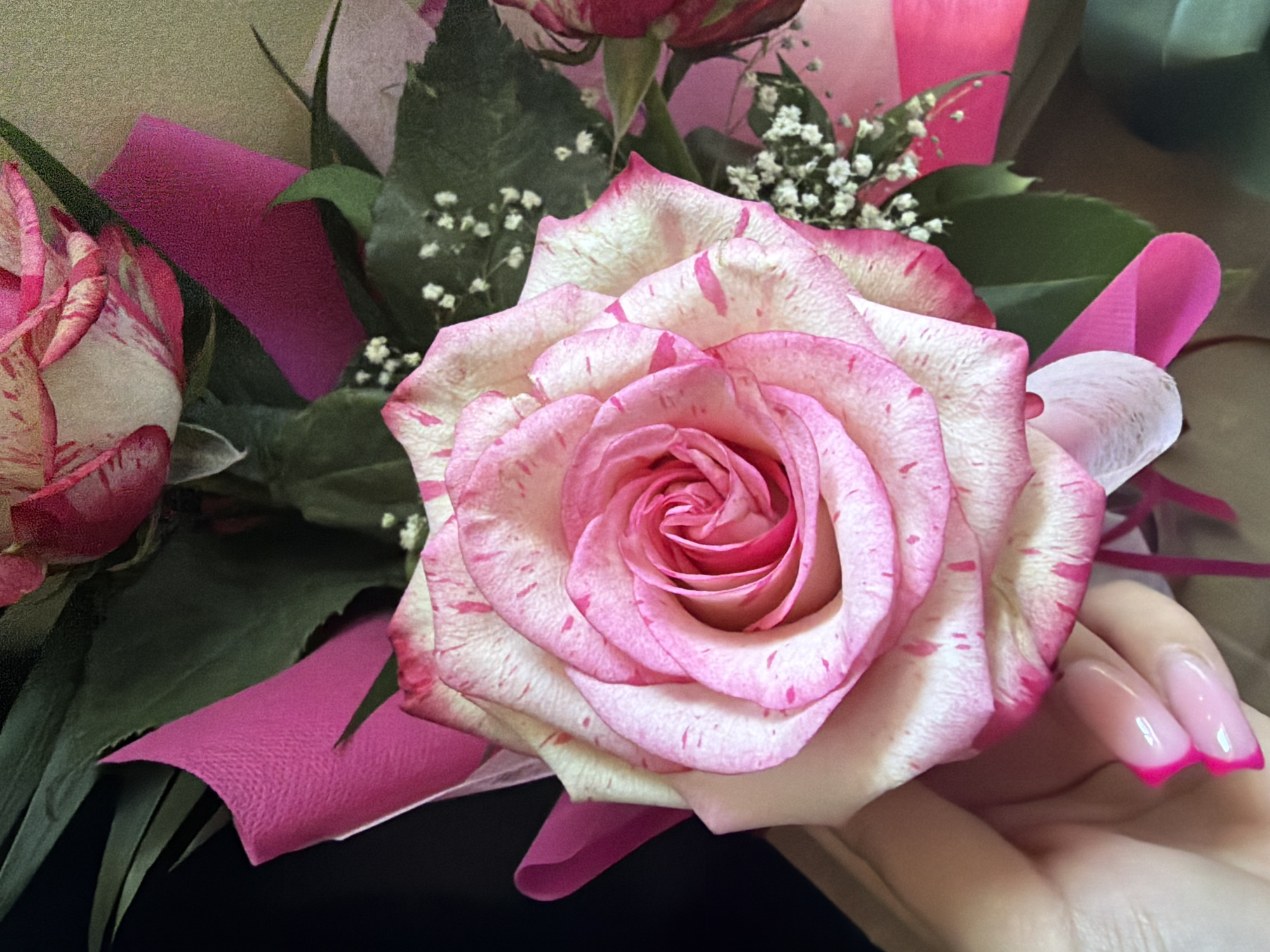 A close-up, eye-level shot captures a bouquet of pink and white roses, with a hand in the lower-left corner. The dominant rose in the foreground is a large, open bloom with delicate pink streaks on its white petals. It is surrounded by lush green leaves and smaller clusters of white flowers. The bouquet is partially wrapped in vibrant pink paper. The hand, adorned with French manicured nails featuring bright pink tips, gently supports the rose, suggesting it is being held or presented. The background is softly blurred, with darker tones on the left and a lighter, textured surface on the right, hinting at an indoor setting. There is no discernible information about the specific location in Varna, Bulgaria.