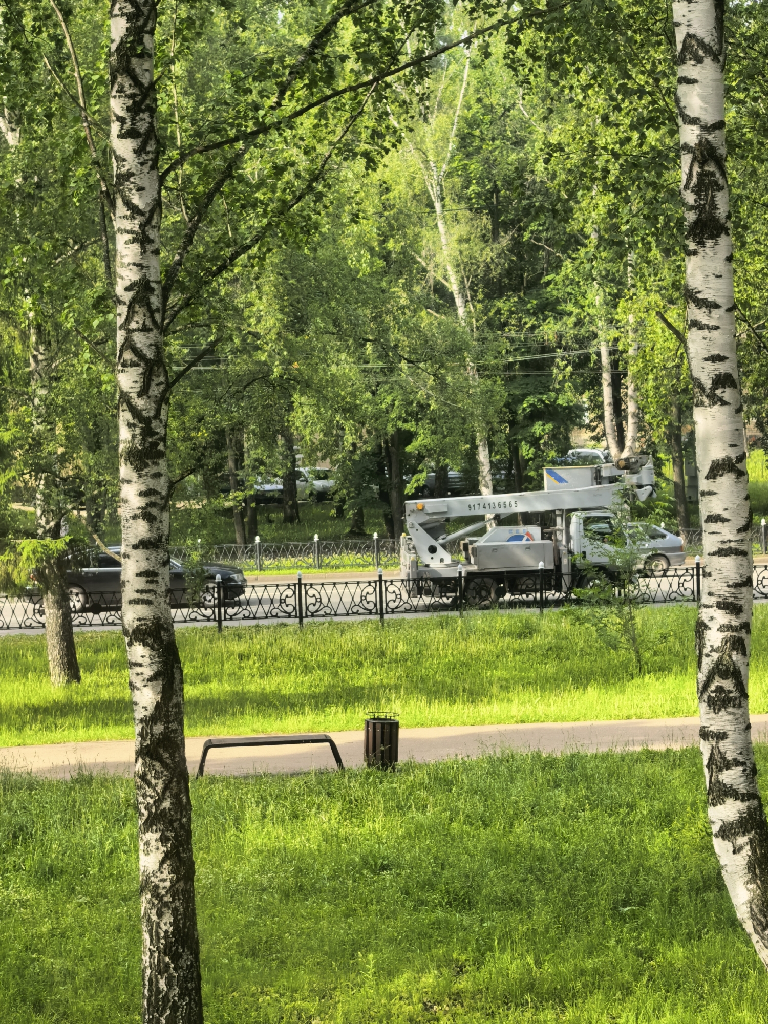 The image displays a vibrant urban park scene, framed by two prominent birch trees with characteristic white and black bark patterns on the left and right. The foreground is dominated by bright green, lush grass, with a light-colored paved path cutting horizontally across the lower third. A minimalist black metal bench and a dark brown cylindrical trash can are situated next to the path on the left.
A decorative black metal fence separates the park's green space from a paved road in the midground. On the road, a dark-colored sedan is partially visible behind the fence on the left. To the right, a white aerial work platform truck (crane truck) is visible. The truck's extendable boom or crane arm carries a bucket or platform and displays the phone number "9174136565". Below this number, a blue and yellow emblem, possibly a company logo resembling a stylized bird or wave, is visible, along with some indistinct text.
The background is densely filled with various shades of green foliage from numerous trees, suggesting a rich, wooded area or extensive parkland. The scene is brightly lit by natural daylight, indicating a sunny day, likely in the morning or afternoon. No specific human activities are clearly depicted, though the presence of the aerial truck suggests potential maintenance or work, possibly tree trimming, within this urban environment in Sterlitamak, Russia.