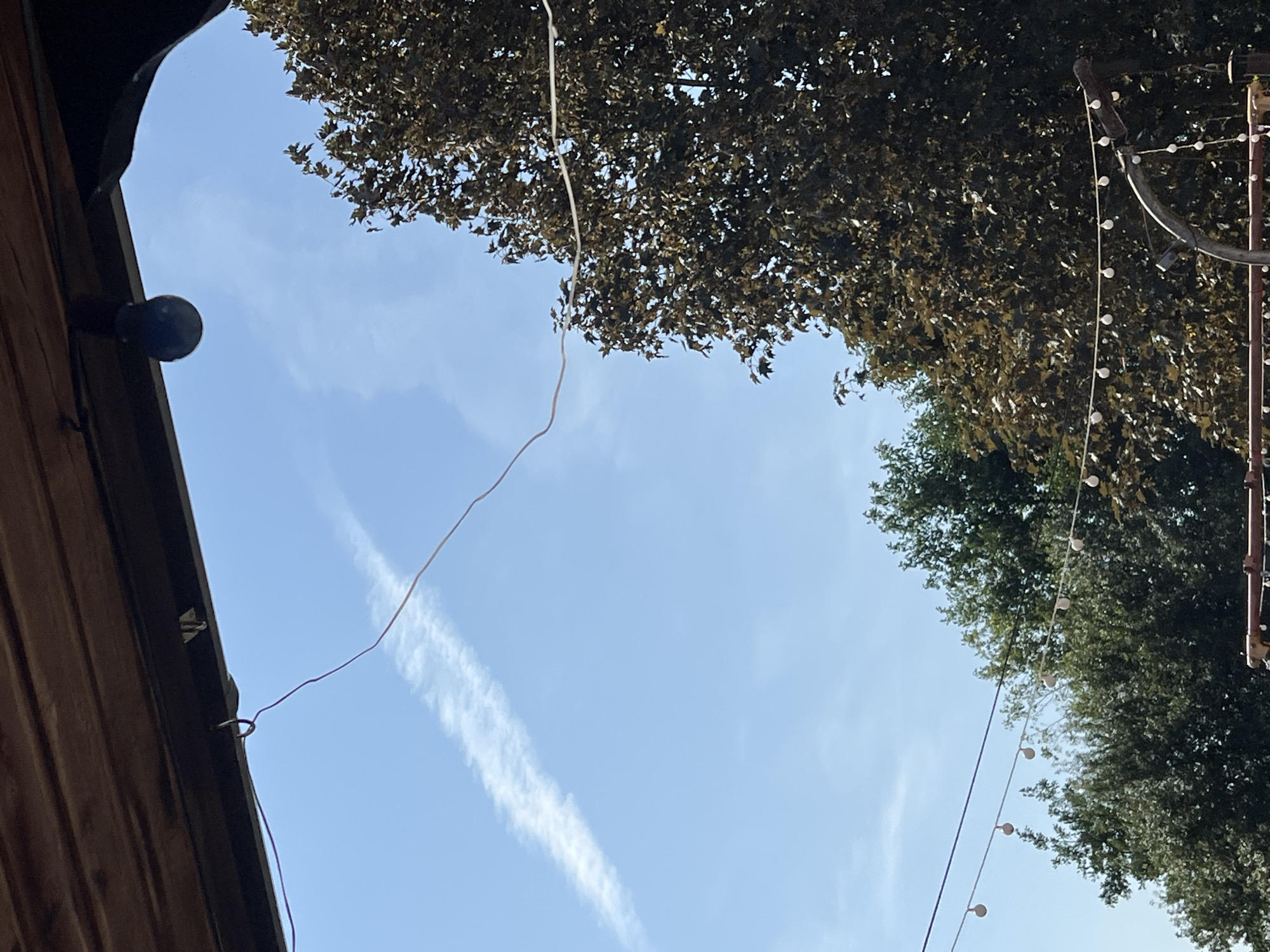 A medium shot captures a bright, sunny sky with a single, thin contrail stretching diagonally from left to right across the frame. The top of the image is dominated by a wooden overhang, with a dark metal beam running beneath it. A small, round, dark light fixture is attached to the beam. From this beam, a thin, red wire dangles down. In the right half of the image, a large, dense tree with dark foliage fills a significant portion of the frame. Below the tree and extending across the lower portion of the image are strings of small, white, round lights, suggesting an outdoor decorative lighting setup. Another string of lights, with white bulbs, is visible in the lower left, stretching horizontally against a backdrop of green trees. The overall impression is an outdoor scene with overhead structures, natural foliage, and decorative lighting, set against a clear blue sky.