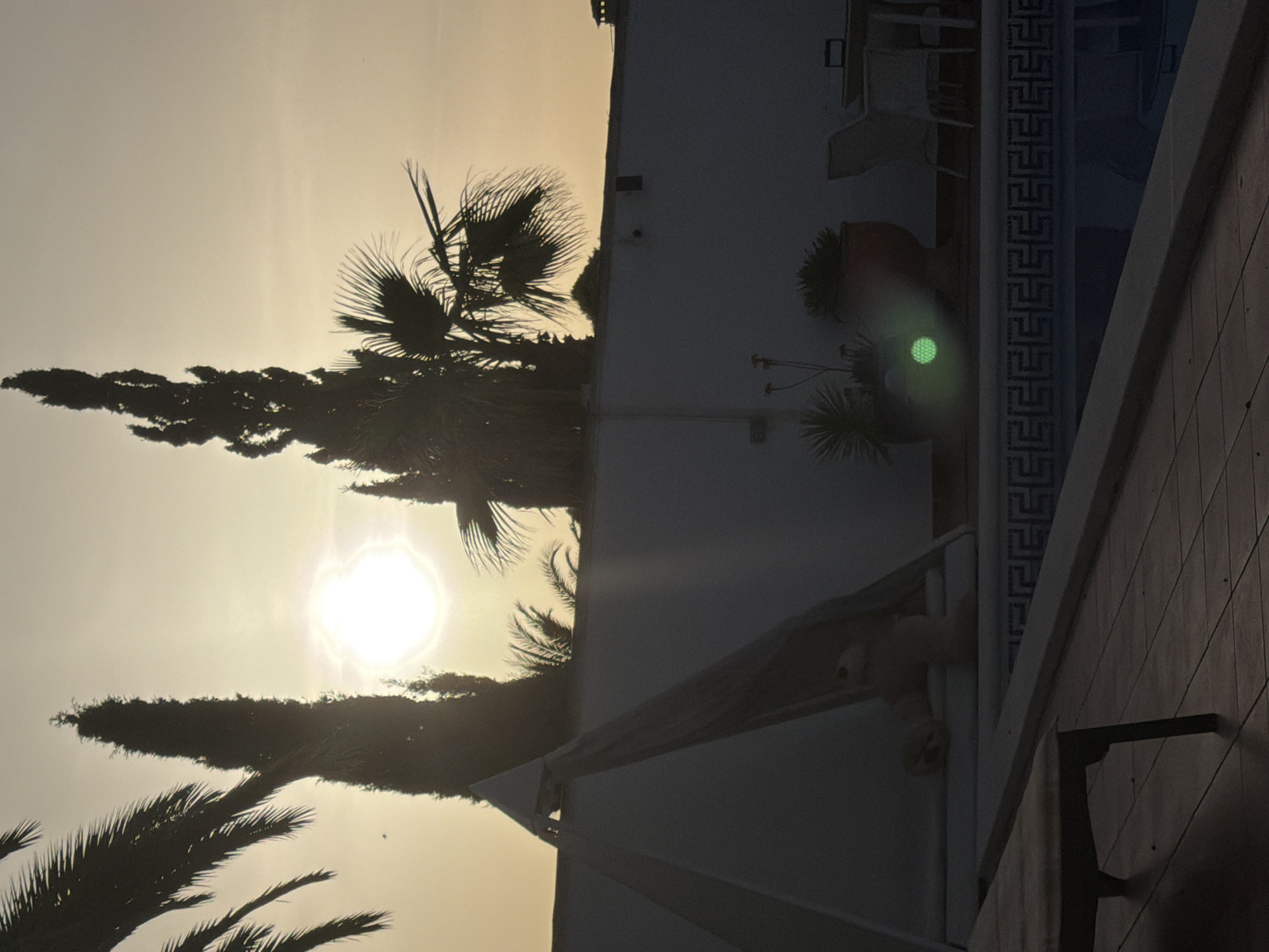 This image depicts a silhouetted scene at sunset, likely in Mont-roig del Camp, Spain, featuring a private outdoor swimming pool area. Tall cypress trees and palm fronds are silhouetted against a bright, hazy sky, with the sun's glare prominently visible. In the foreground, a wooden deck leads to the edge of a swimming pool with decorative tiling. A small, pyramid-shaped tent-like structure is positioned near the pool, with a large, light-colored teddy bear visible inside. On the other side of the pool, a white wall forms a backdrop, behind which are potted plants, a table, and chairs, suggesting a patio or garden area. A greenish circular light artifact is visible on the wall near the plants. The overall impression is of a tranquil, evening setting in a residential area.