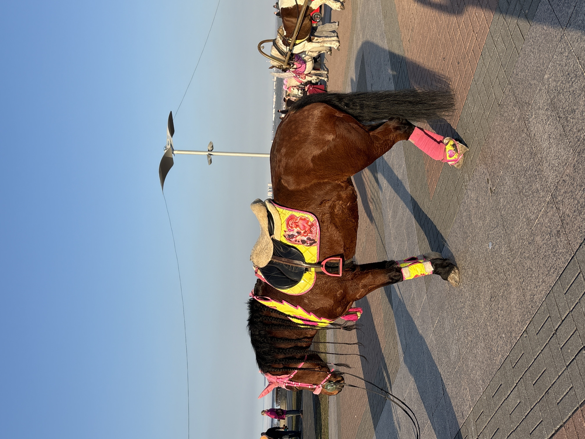 A decorated horse stands on a paved surface. The horse is adorned with pink and yellow accessories, including leg wraps, a bridle, and a saddle. The horse is brown with a black mane and tail. In the background, another horse and a street lamp can be seen. The sky is clear and blue. The location is Ulyanovsk, Russia.