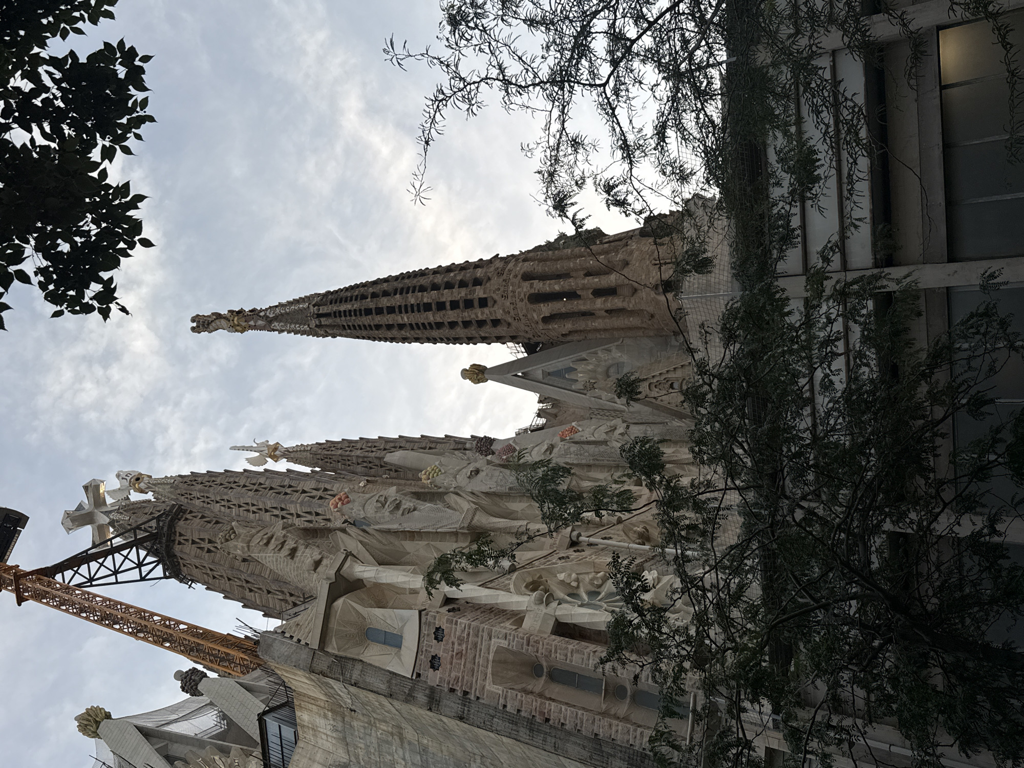 The image captures a low-angle view of the Sagrada Familia basilica in Barcelona, Spain. The basilica's intricate Gothic and Art Nouveau architecture is prominent, with its spires reaching towards a cloudy sky. A construction crane, painted orange and black, is visible, indicating ongoing work on the basilica. Trees with dark green foliage frame the lower and upper portions of the image, partially obscuring the building. The overall scene suggests a partially cloudy day, with the natural elements contrasting with the monumental structure. No people are visible in the frame.