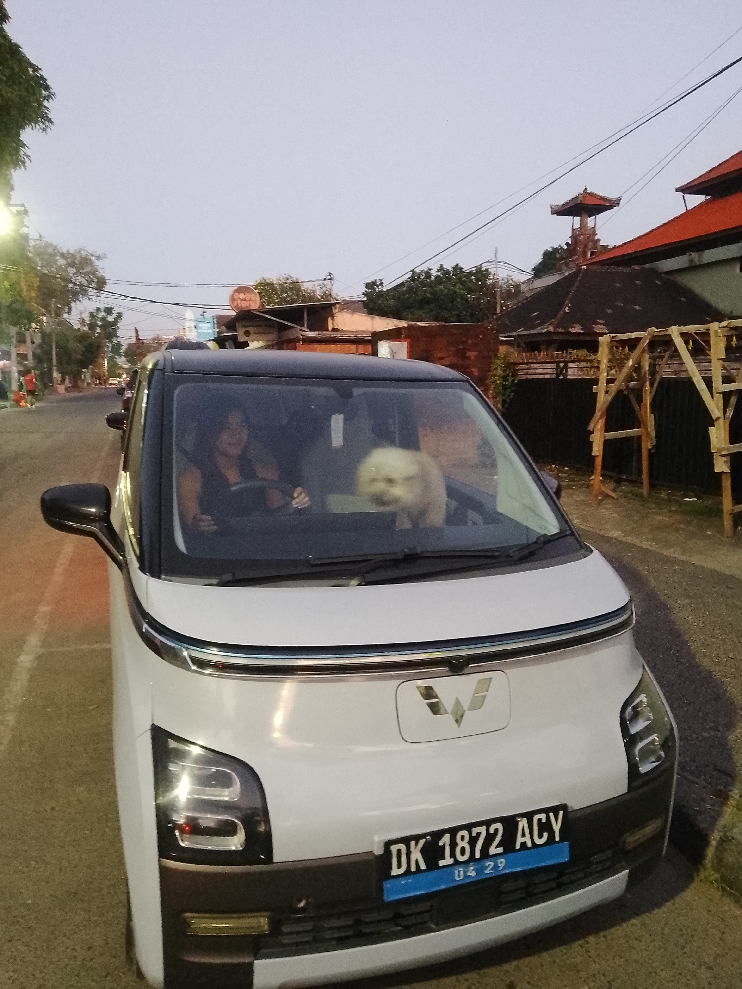 A white electric car, identified by license plate DK 1872 ACY, is parked on a street in Denpasar, Indonesia. The car has a black roof and tinted windows. Inside the car, a woman with dark hair is visible in the driver's seat, holding the steering wheel. A light-colored dog is in the passenger seat. The street is paved and appears to be in a residential or commercial area, with buildings and trees visible in the background. The sky is overcast, suggesting it is either dawn or dusk.
