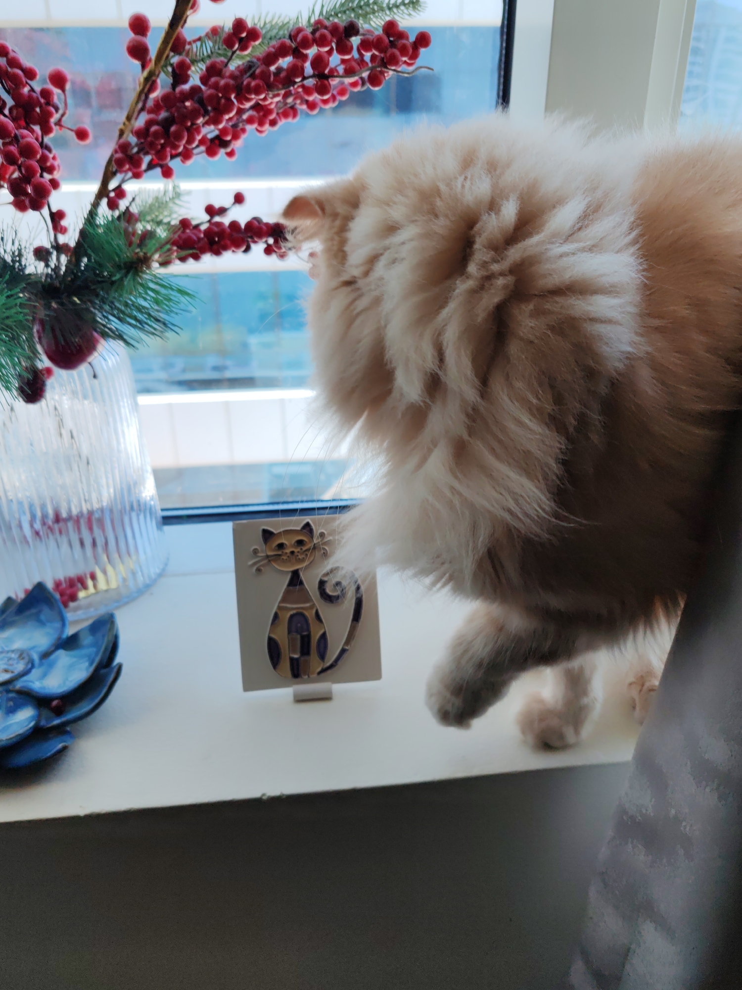 A fluffy, light-colored cat is perched on a white windowsill, its back to the camera, looking out a window. To the left of the cat, a glass vase filled with red berries and green sprigs is visible. In front of the cat, a small, decorative tile featuring a stylized black cat with yellow and blue accents rests on the sill. To the far left, a blue ceramic flower-shaped object is partially visible. The background outside the window shows a blurry cityscape, suggesting an urban setting, potentially Dubai, United Arab Emirates, with a building visible in the distance. A grey curtain is to the right of the cat.