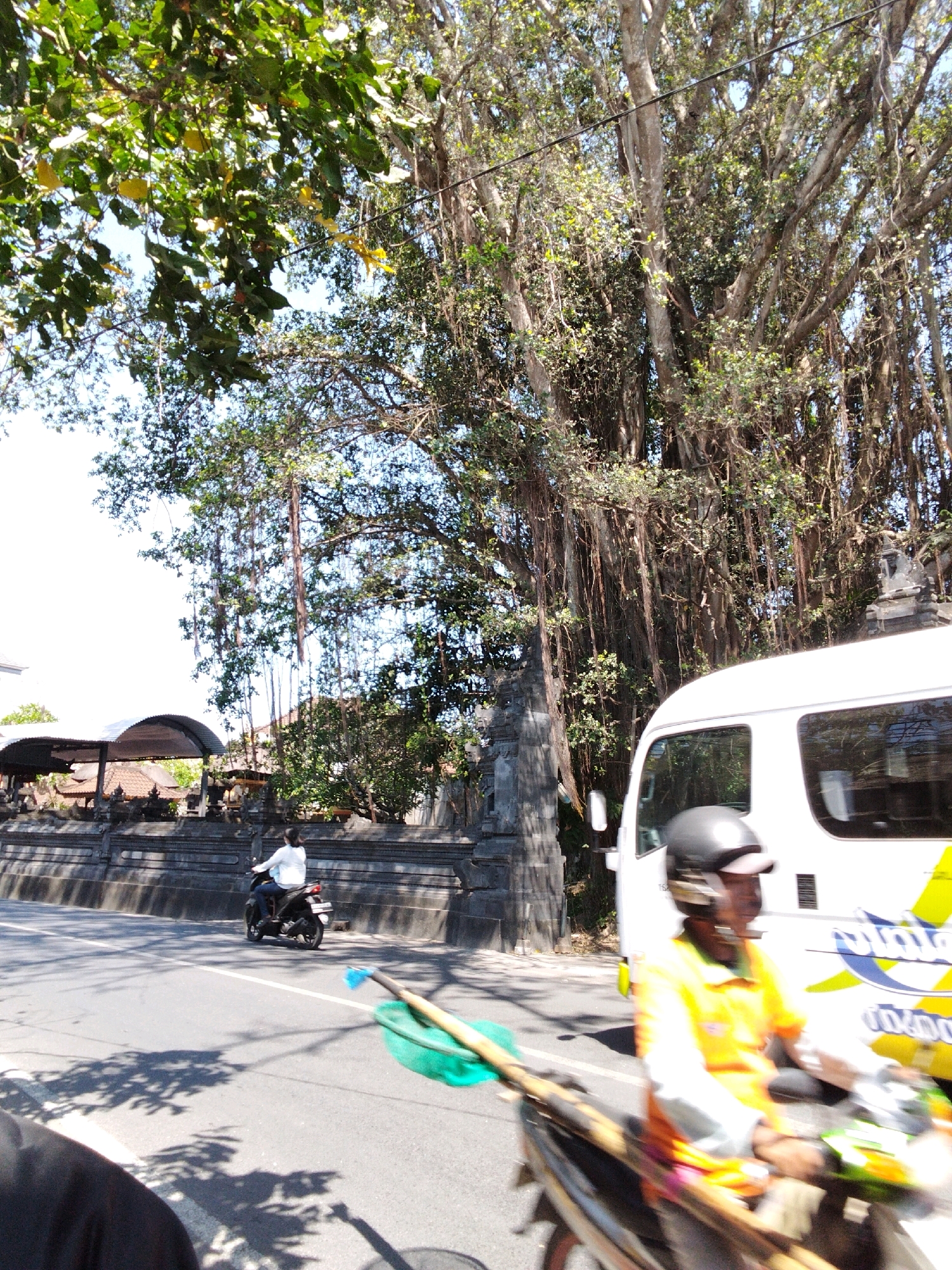 This image captures a street scene in Denpasar, Indonesia, dominated by a large banyan tree with hanging aerial roots. In the foreground, a white van with yellow and blue decals is partially visible on the right. To the left of the van, a person on a motorcycle wearing a yellow shirt and a black helmet is in motion, carrying a green net and some wooden poles. Further in the background, another person on a motorcycle wearing a white shirt and dark pants is riding on the left side of the road. Behind the road, a stone wall with architectural elements and a covered structure are visible. The environment suggests a bright, sunny day.