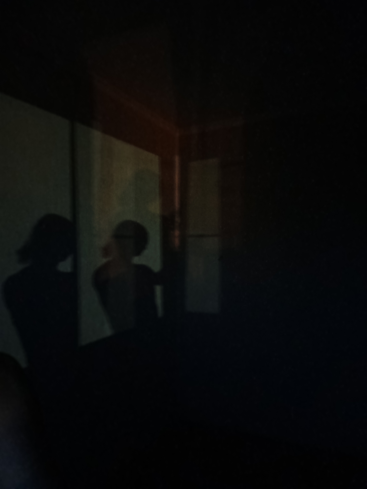 This is a dark, dimly lit image featuring the silhouettes of two people in what appears to be an indoor setting. The left subject is positioned further away and is a faint shadow with what looks like long hair. The subject on the right is closer and is more defined, showing a silhouette with what could be glasses. The background suggests an interior space with some geometric shapes that might be walls or furniture, and a hint of light reflecting off a surface. The overall mood is mysterious and perhaps somber due to the low lighting and indistinct subjects. It's unclear what activity is taking place, but the positioning of the figures suggests they might be standing or sitting. There is no visible text in the image. The context provided places the location in Moscow, Russia, but this is not discernible from the visual information alone.