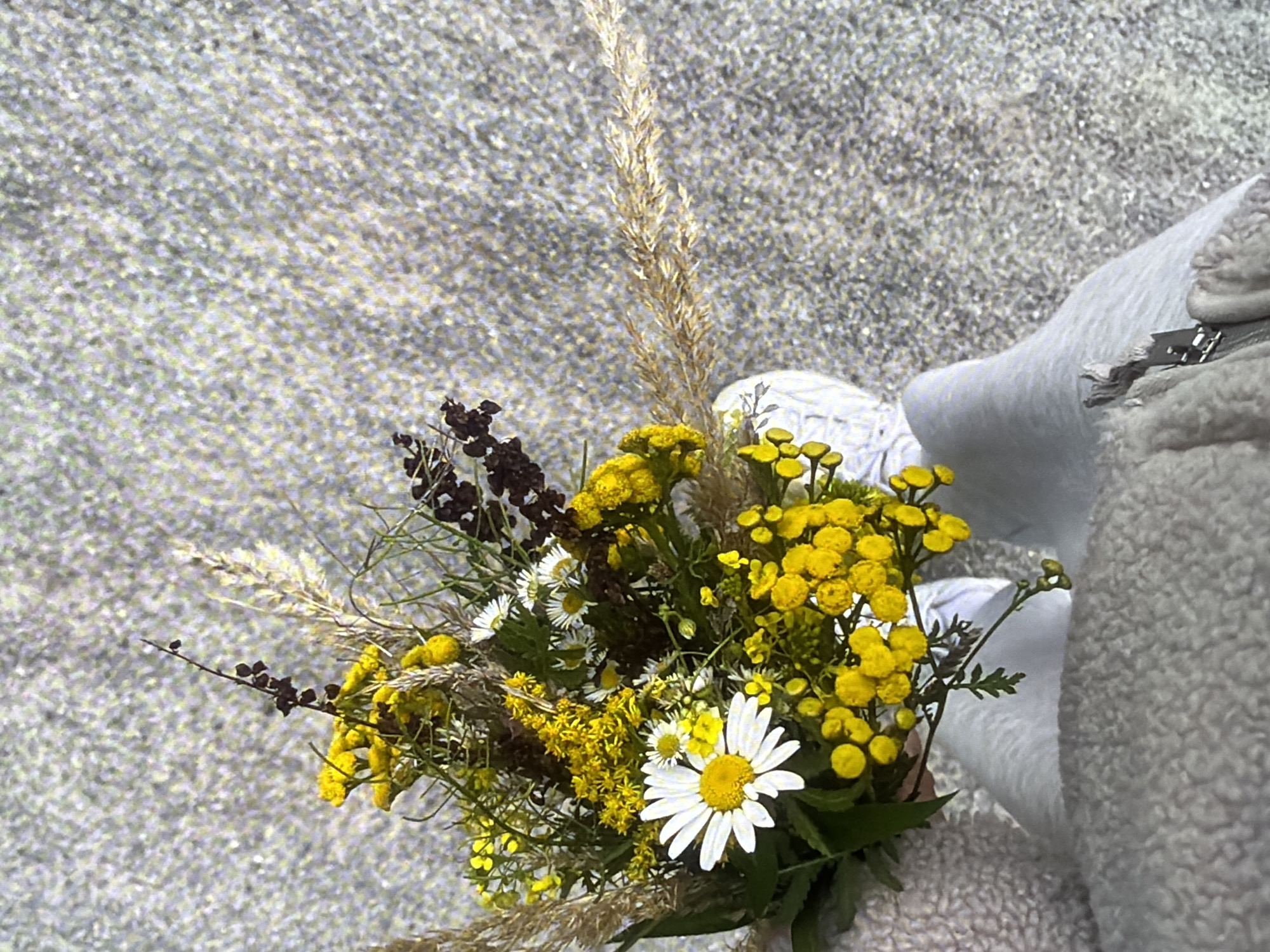 A person is holding a bouquet of wildflowers. The bouquet contains daisies, yellow flowers, and dried grasses. The person is wearing a grey fleece jacket and white sneakers. The background is a grey, pebbly surface, possibly a sidewalk or path. The lighting suggests it is daytime.