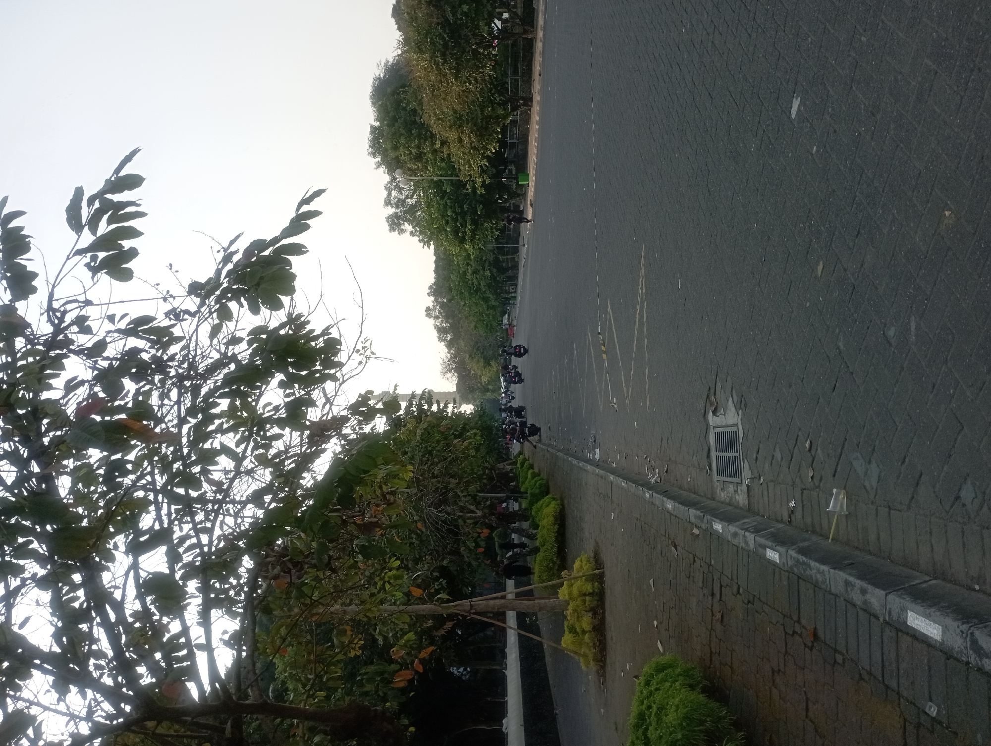 The image depicts an outdoor scene on a paved road with a sidewalk on the left. The sky is overcast, suggesting it might be early morning or late afternoon. A line of trees with green and some yellowing leaves is planted along the sidewalk, with a few saplings supported by wooden stakes. The sidewalk is made of interlocking concrete blocks, and a storm drain is visible near the curb. Litter, including plastic cups and paper, is scattered on the sidewalk and along the curb.
The road itself is also paved with interlocking blocks and is marked with dashed yellow lines, indicating lanes. Several motorbikes are parked or being ridden on the road. Some people are visible walking on the sidewalk and riding the motorbikes. In the distance, more trees and a tall, slender building or tower can be seen. The environment appears to be a city street in Depok, Indonesia, characterized by its urban infrastructure and vegetation.