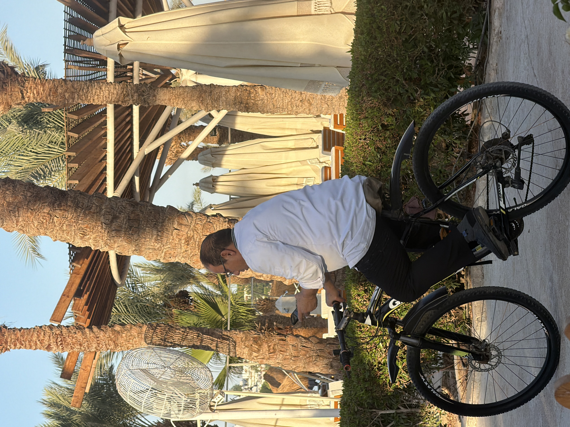 A man with glasses wearing a white shirt and black pants is riding a black bicycle. He is holding a black mobile phone in his right hand. The scene appears to be outdoors in a tropical or subtropical environment, with several palm trees visible, some with brown, textured trunks. There is a large white fan on the left side of the image. In the background, there are several large, cream-colored umbrellas that are folded down, along with lounge chairs. The ground is paved. The presence of palm trees and beach umbrellas suggests a resort or hotel setting, consistent with locations in Sharm El Sheikh, Egypt, known for its beach resorts. The lighting suggests it is daytime, possibly late afternoon due to the warm tones and shadows.