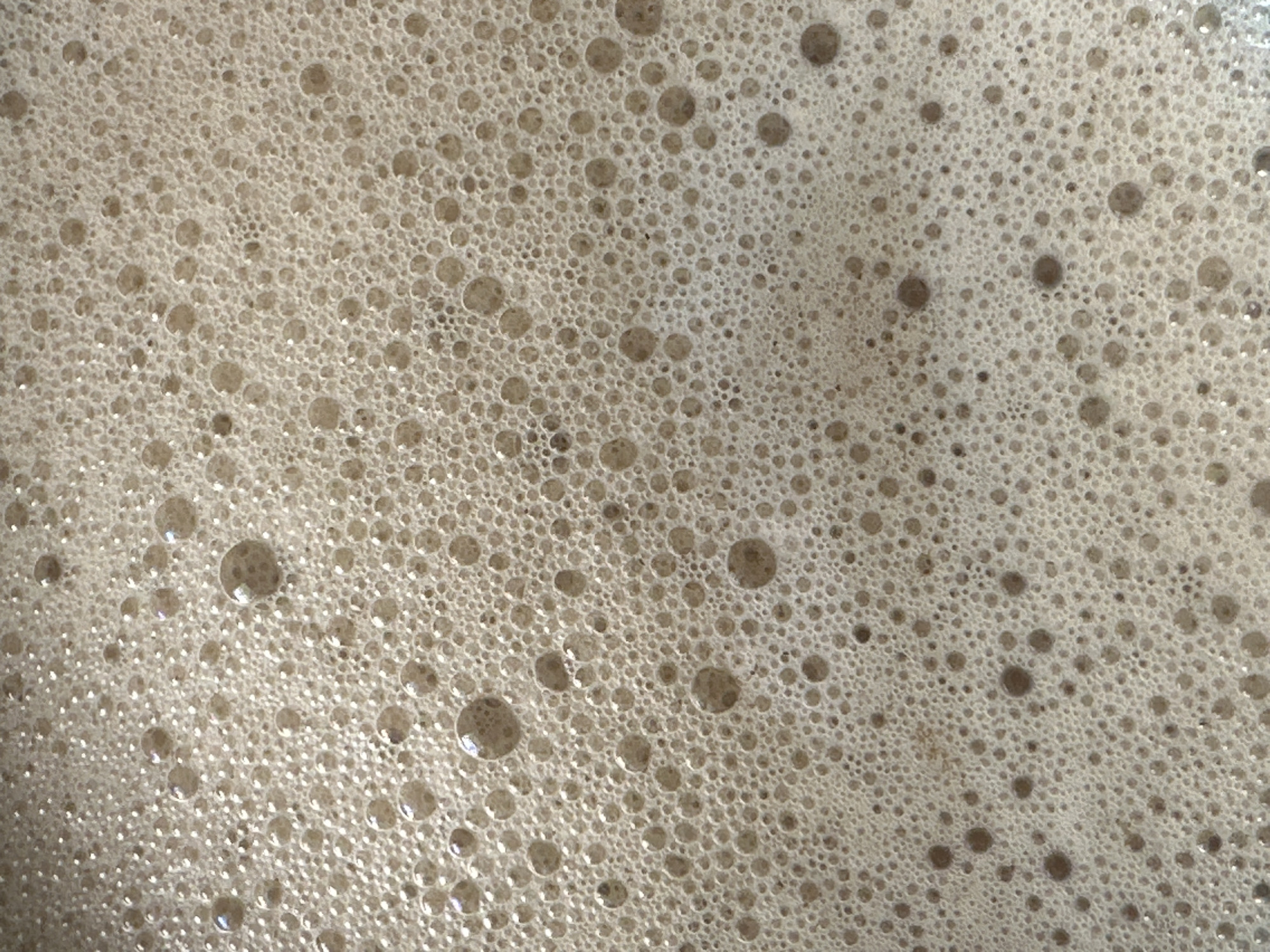 The image shows a close-up view of foam. The foam consists of bubbles of various sizes, tightly packed together. The color of the foam is a light tan. The image does not contain any information about Tunbridge Wells, United Kingdom, people, subjects, objects, actions, interactions, or the environment.