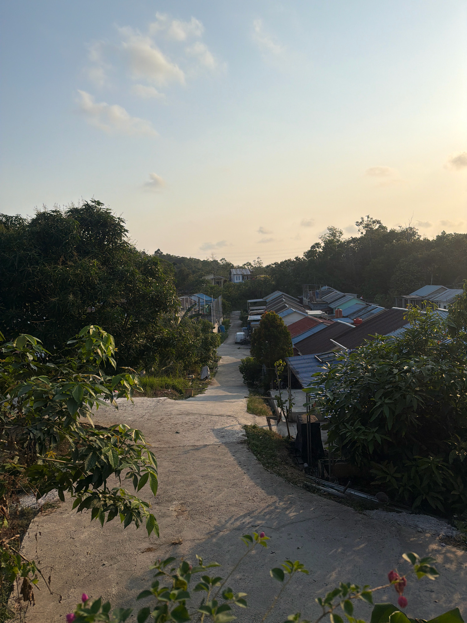 The image depicts a rural residential area with a concrete road winding through it, lined with trees and modest houses. The houses have colorful metal roofs, and some are situated on a hillside. Lush green foliage dominates the foreground and flanks the road, suggesting a tropical environment. The sky is a pale blue with scattered clouds, and the warm, soft lighting indicates either early morning or late afternoon. The scene appears peaceful and devoid of any human activity. This view is consistent with the outskirts of Balikpapan, Indonesia, where such residential areas are common, characterized by a blend of natural greenery and developing infrastructure.