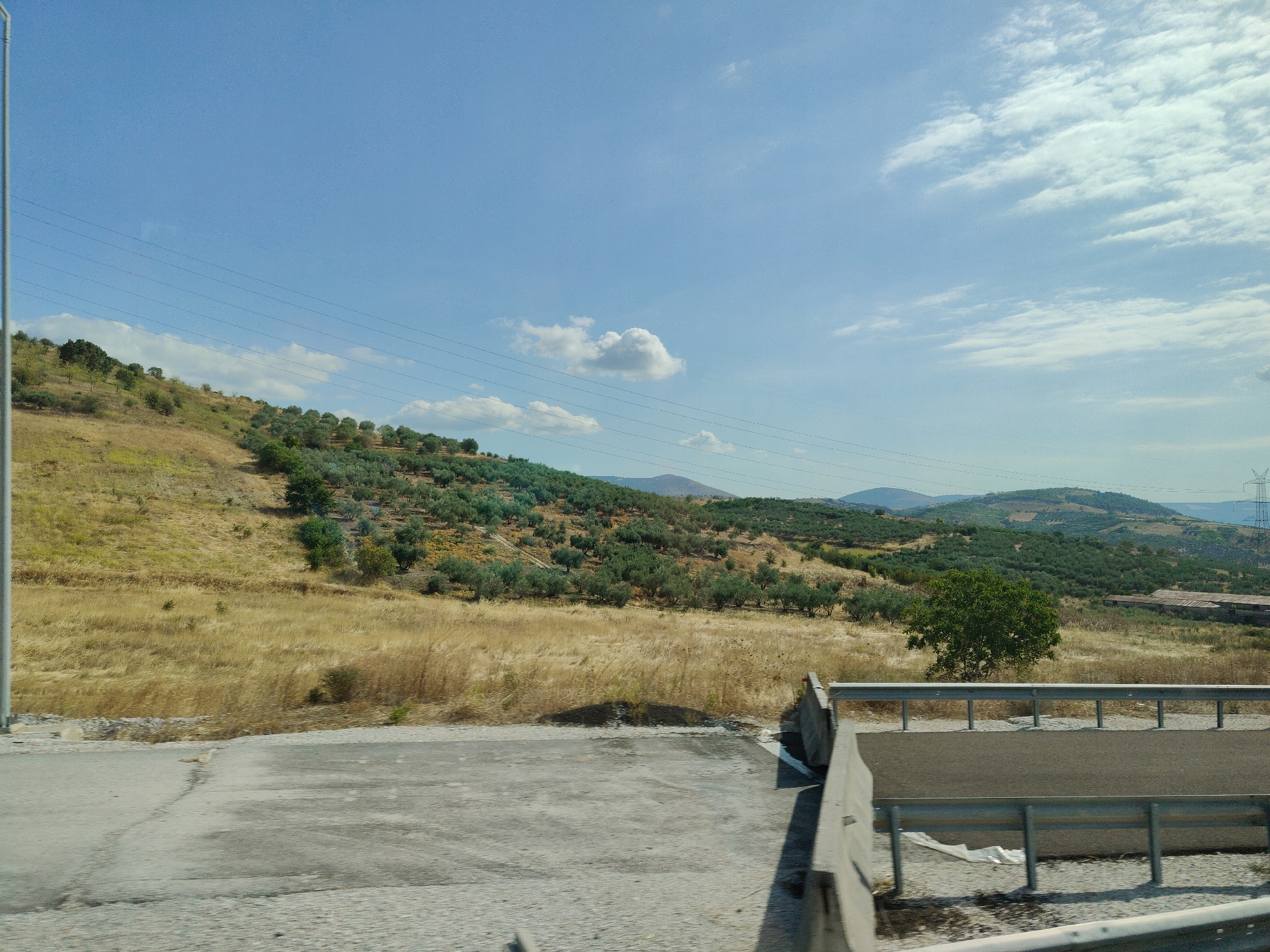 The image depicts a rural landscape under a bright, partly cloudy sky. In the foreground, there is a paved area that appears to be part of a road or an industrial site, with a concrete barrier and a metal guardrail. The ground is covered with asphalt and gravel. To the left, a tall, thin pole, possibly a lamppost or a utility pole, stands vertically.
The middle ground features a rolling hillside covered in dry, golden grass, interspersed with numerous olive trees. The trees are densely planted in rows on the slope, creating a textured pattern of dark green against the lighter landscape. Some bare patches and scrubby vegetation are also visible on the hillside.
In the background, more hills recede into the distance, some appearing barren and others densely covered with vegetation. A large, solitary green tree stands prominently on the slope. In the far distance, a building with a reddish-brown roof can be seen, and a tall electricity pylon is visible on the right side of the image. The sky is a clear blue, with scattered white clouds, some wispy and others more defined.
This image was taken in the vicinity of Trikala, Greece, likely in a rural area surrounding the city known for its olive groves and undulating terrain. There are no people visible in the image. The scene is static, capturing a moment in time in a natural and partially cultivated environment. The overall impression is one of a sunny day in the Greek countryside.