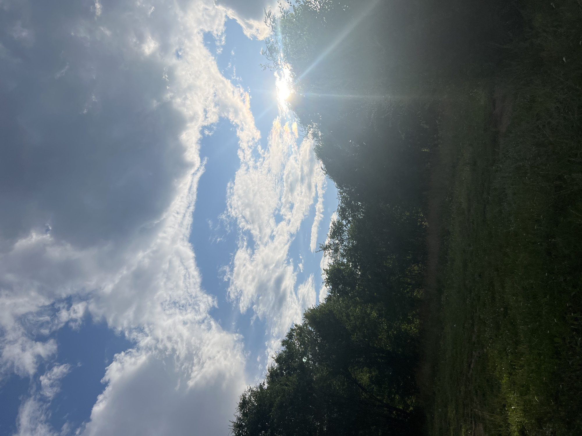 The image depicts a natural landscape under a partly cloudy sky, with the sun's rays breaking through the clouds and shining brightly. The scene features a treeline with dense foliage in the middle ground, casting shadows on a grassy field in the foreground. There are no people or specific landmarks visible that would indicate a location in Ulyanovsk, Russia, or any other urban environment. The image is a generic depiction of a sunny day in a natural setting.