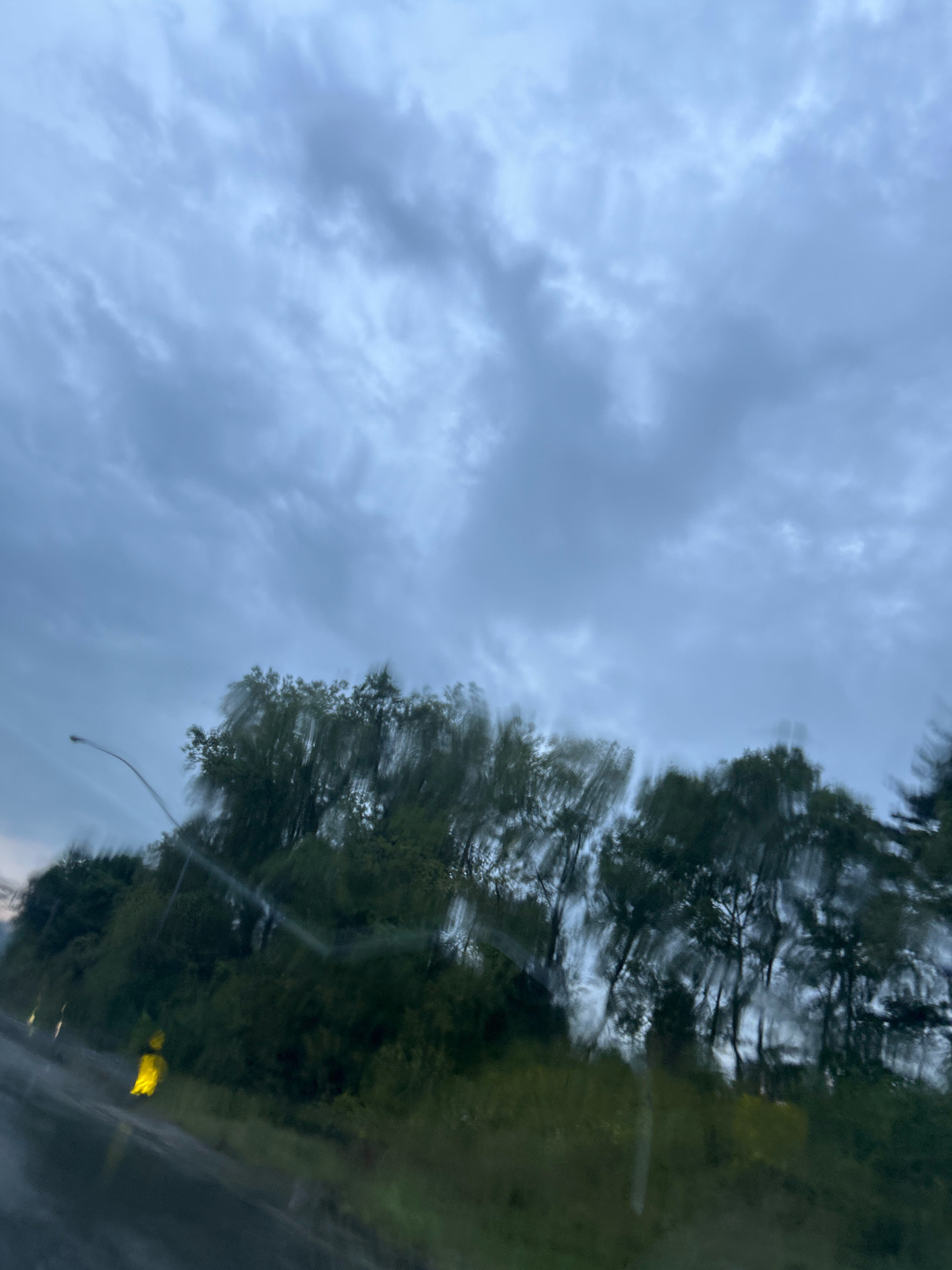 The image depicts a blurred view of trees and a cloudy sky, suggesting motion. A street light is visible on the left, and a yellow object, possibly a vehicle or hazard marker, is in the lower left portion of the image. The scene appears to be a roadside view from a moving vehicle, likely taken in Collier Township, United States of America, given the context provided. The weather appears overcast.