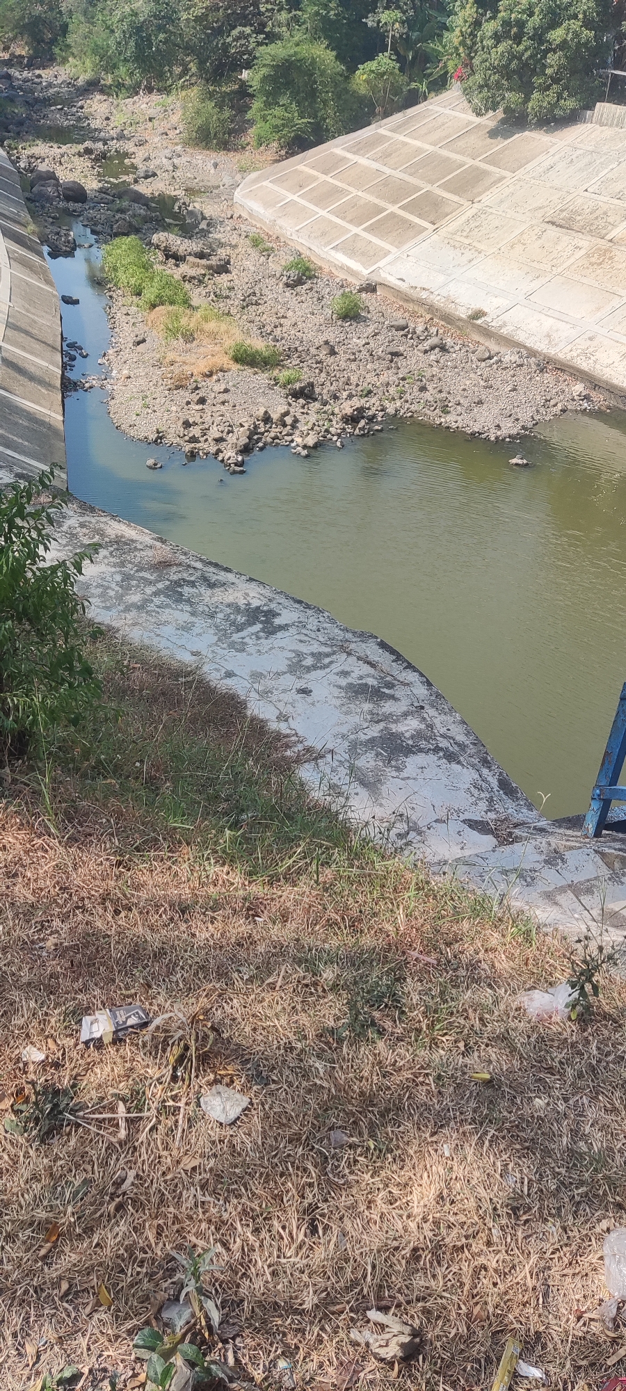 The image shows a concrete canal with a slow-moving, murky green river flowing through it. The canal walls are lined with concrete, and the riverbed is rocky and appears shallow in places. Vegetation, including dry grass and some green plants, grows along the top of the canal bank. In the foreground, there is a patch of dry, yellowing grass with some scattered litter, including plastic bags and what appears to be a cigarette pack. In the background, trees and greenery are visible, suggesting a natural environment adjacent to the man-made canal. The scene appears to be an outdoor environment in Panongan, Indonesia, likely a water management structure within a semi-urban or rural setting.