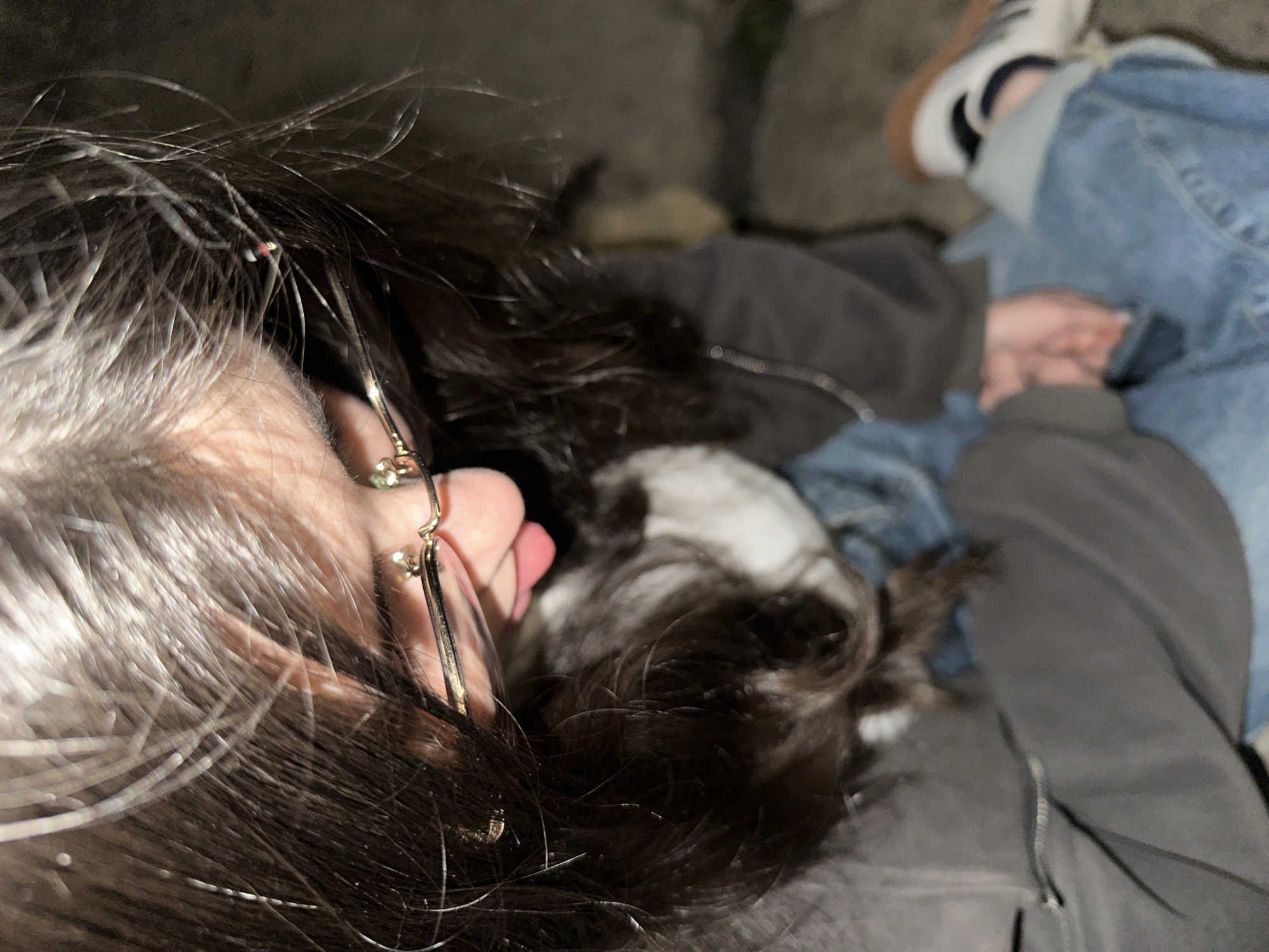 A low-angle, slightly out-of-focus image showing a person with dark hair and glasses lying down next to a black and white dog. The person is wearing a gray hoodie and blue jeans, and has on white sneakers with tan soles. The background appears to be a dimly lit outdoor area, possibly in a city, but not enough detail is visible to confirm the location or specifics of Agarak, Armenia. The person's face is partially visible, showing a light skin tone. The dog appears to be resting or sleeping.