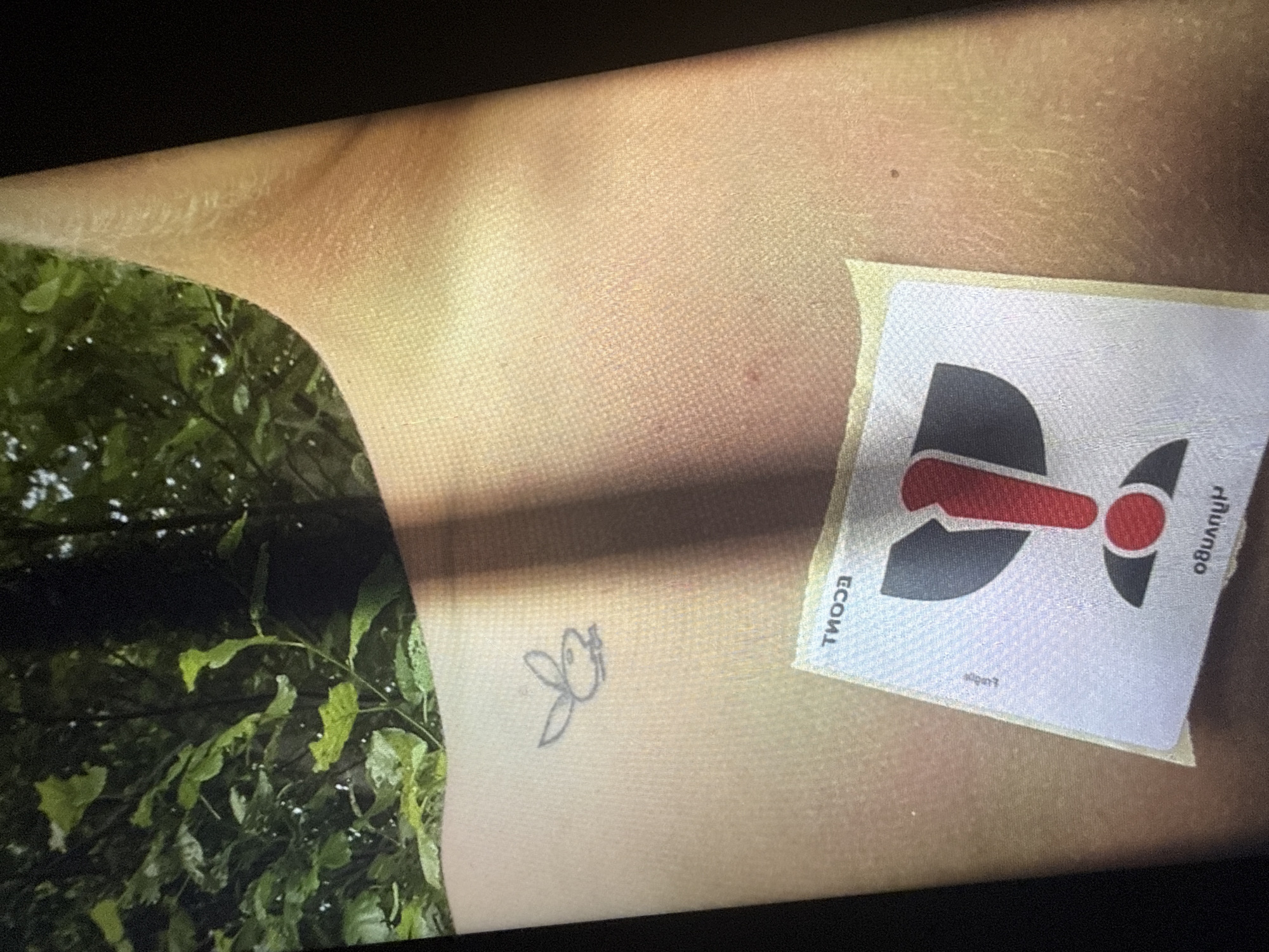 The image shows a close-up view of a person's skin, specifically the upper back or shoulder area, with a tattoo and a sticker. The tattoo is a stylized depiction of a bunny silhouette, with long ears and a small body. Below the tattoo, a sticker is partially visible, featuring a graphic design with a red exclamation mark inside a broken shield-like shape. Some text is present on the sticker, appearing to be in a foreign language and reversed. The background consists of green foliage and a dark tree trunk, suggesting an outdoor setting, possibly in a park or wooded area. There is no discernible location information for Sofia, Bulgaria within the image itself.