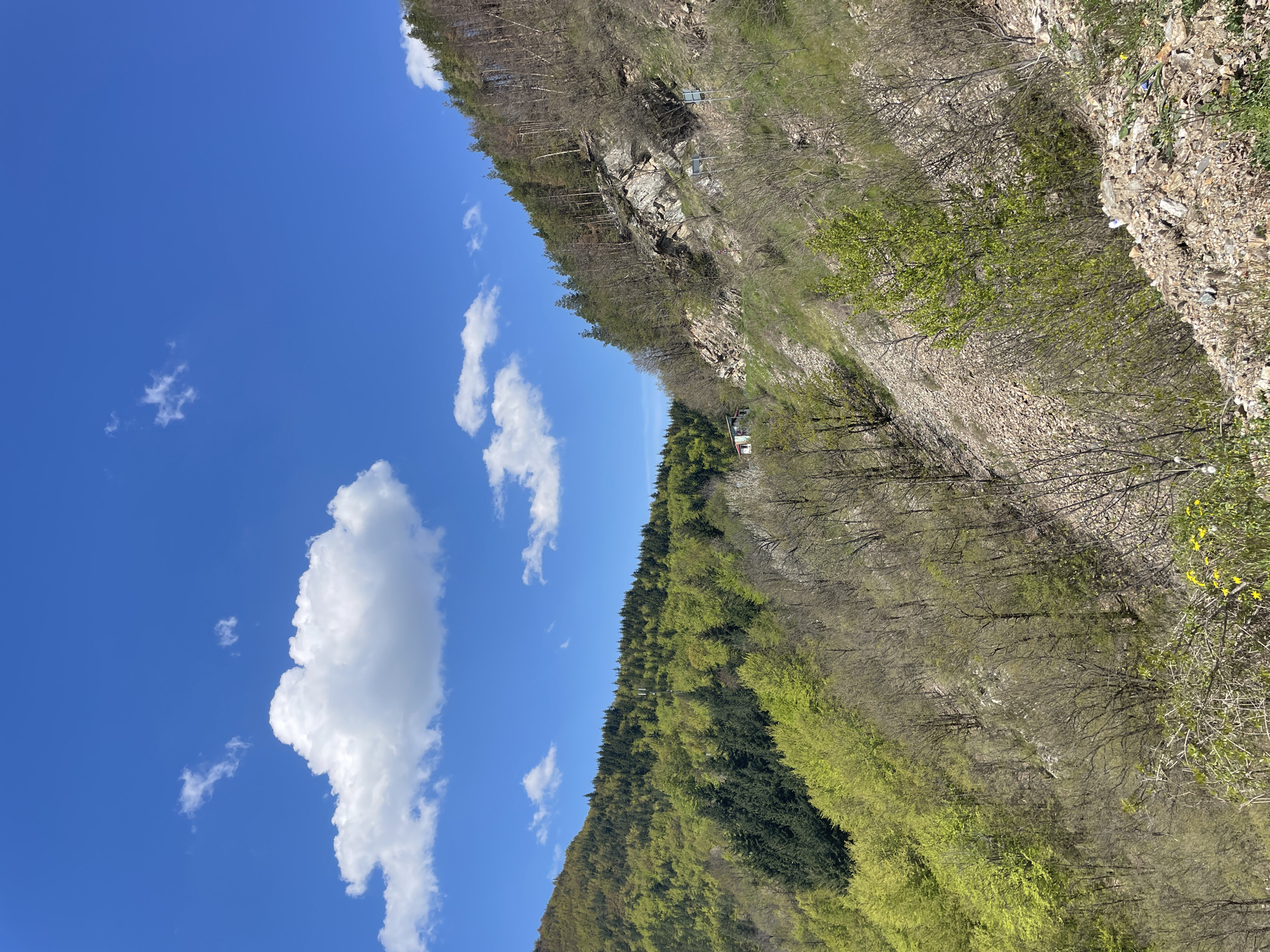A vertically oriented landscape photograph taken in the area of Pechinska, Bulgaria shows a mountain face under a bright blue sky with puffy white clouds. The mountain is on the right side of the frame. The upper portion of the mountain face has visible rock outcroppings and sparse vegetation. Lower down, the mountain is covered with a forest of trees in early spring foliage. The left side of the frame is predominantly blue sky with scattered clouds.