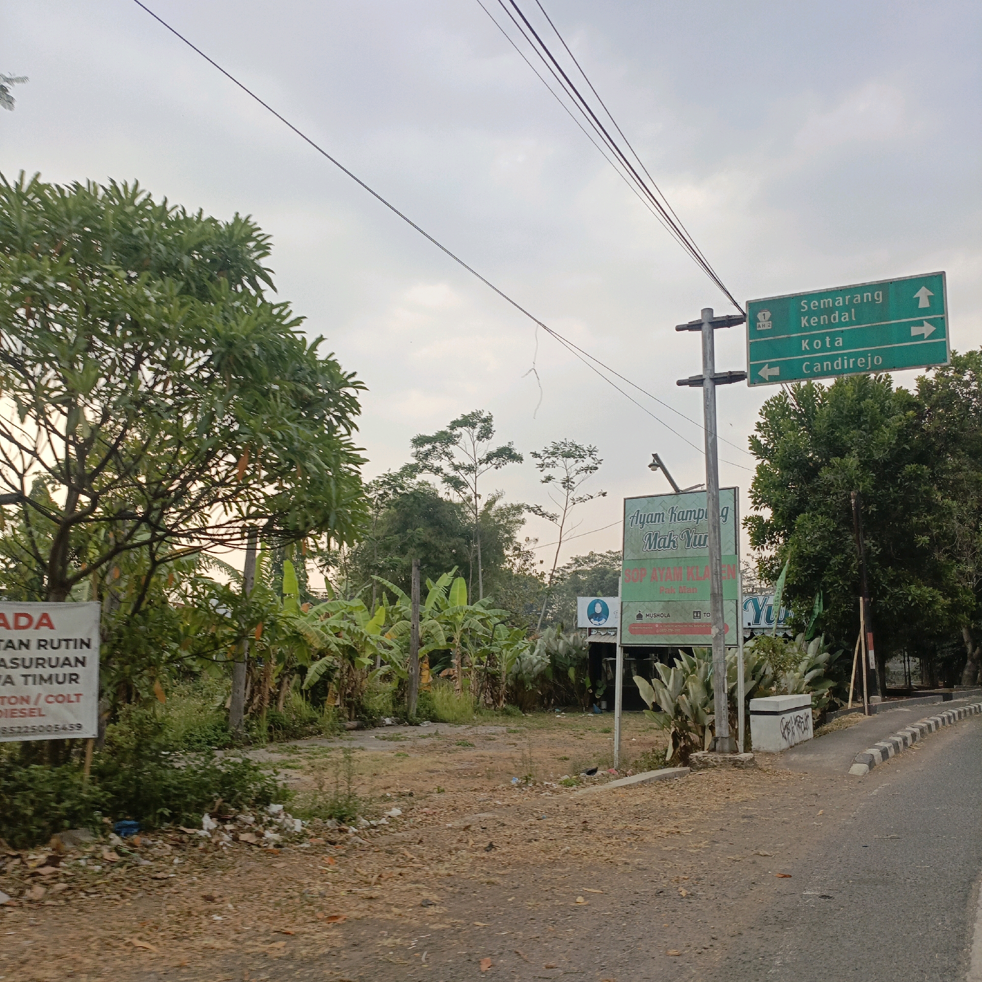 The image shows a street scene in Salatiga, Indonesia. In the foreground, there is a paved road with a curb and a shoulder area covered in dry leaves and dirt. To the left of the road, there is a grassy area with several signs and vegetation, including banana trees and other plants. One sign is white with red lettering, and another is green with directional information. The green sign indicates directions to "Semarang Kendal" (up), "Kota" (right), and "Candirejo" (left). In the background, there are more trees and a cloudy sky. Several power lines are visible crossing the sky. A few small birds are present on the ground in the dirt area. The overall impression is of a rural or semi-rural road on the outskirts of a city.