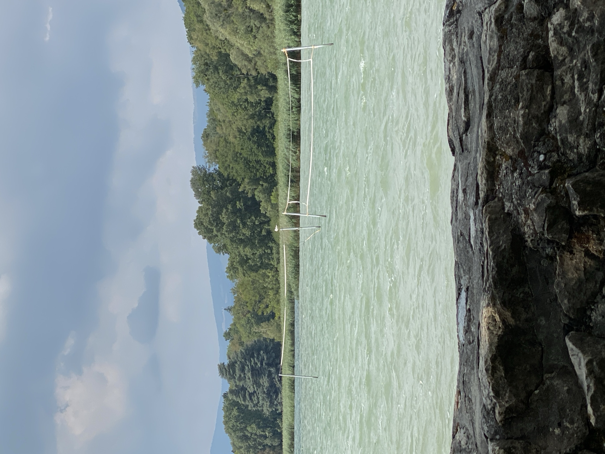 The image depicts a scene at a lake in Laténa, Switzerland, likely during daytime given the lighting. In the foreground, a rough, dark stone embankment lines the bottom of the frame. Beyond the embankment, a body of light green, choppy water occupies the middle ground. Two white poles with a white net stretched between them stand in the water, suggesting a volleyball net set up for recreational use. A single white bird is perched on the net towards the right side of the frame. In the background, a dense line of tall green reeds or grasses separates the water from a thick forest of various green trees. Further in the distance, rolling hills or mountains, covered in trees, rise against a cloudy sky. The sky itself is filled with a mix of light and dark gray clouds, with some patches of brighter sky visible.
