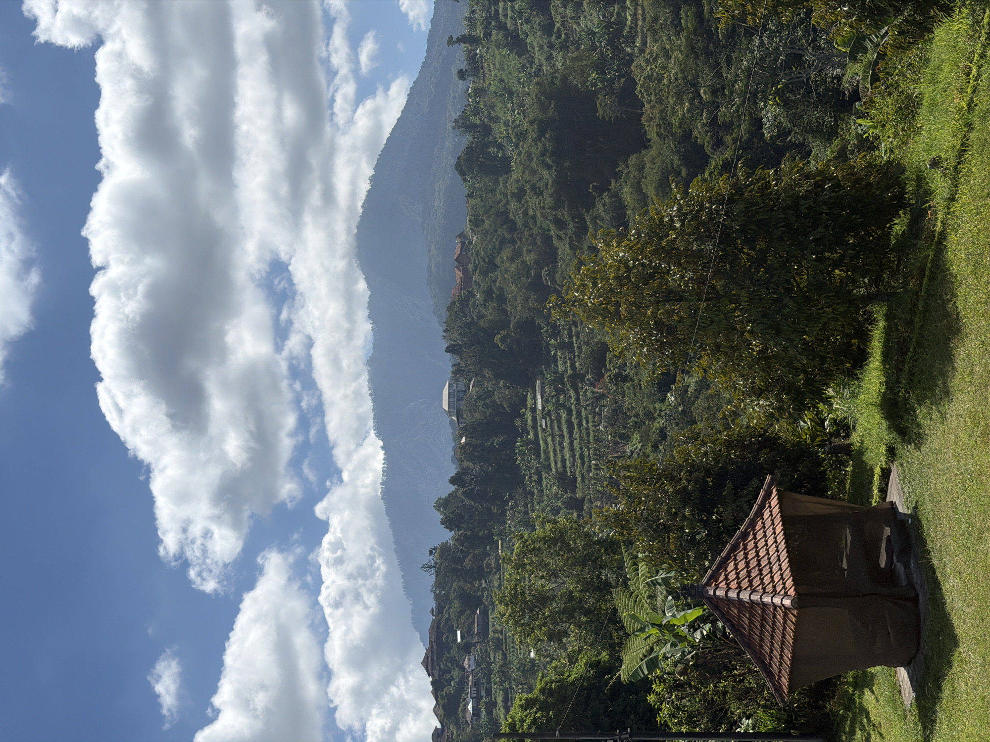 This is a vertical, eye-level, full-shot photograph of a lush green landscape in Baturiti, Indonesia, under a bright, cloudy sky. In the foreground, a small, open-sided pavilion with a terracotta-tiled, pyramidal roof sits on a patch of manicured grass. The pavilion is partially shrouded by a dark, translucent fabric. Behind the pavilion, the landscape rises steeply, covered in dense, verdant vegetation that appears to be terraced in places, suggesting agricultural cultivation. Various trees, including some with broad leaves, are scattered throughout. In the midground, several buildings with traditional architectural styles are visible, nestled amongst the trees and on the slopes. Further in the background, a large, misty mountain looms under a sky filled with dramatic, billowy white clouds against a clear blue backdrop. The overall scene conveys a sense of natural beauty and rural tranquility.