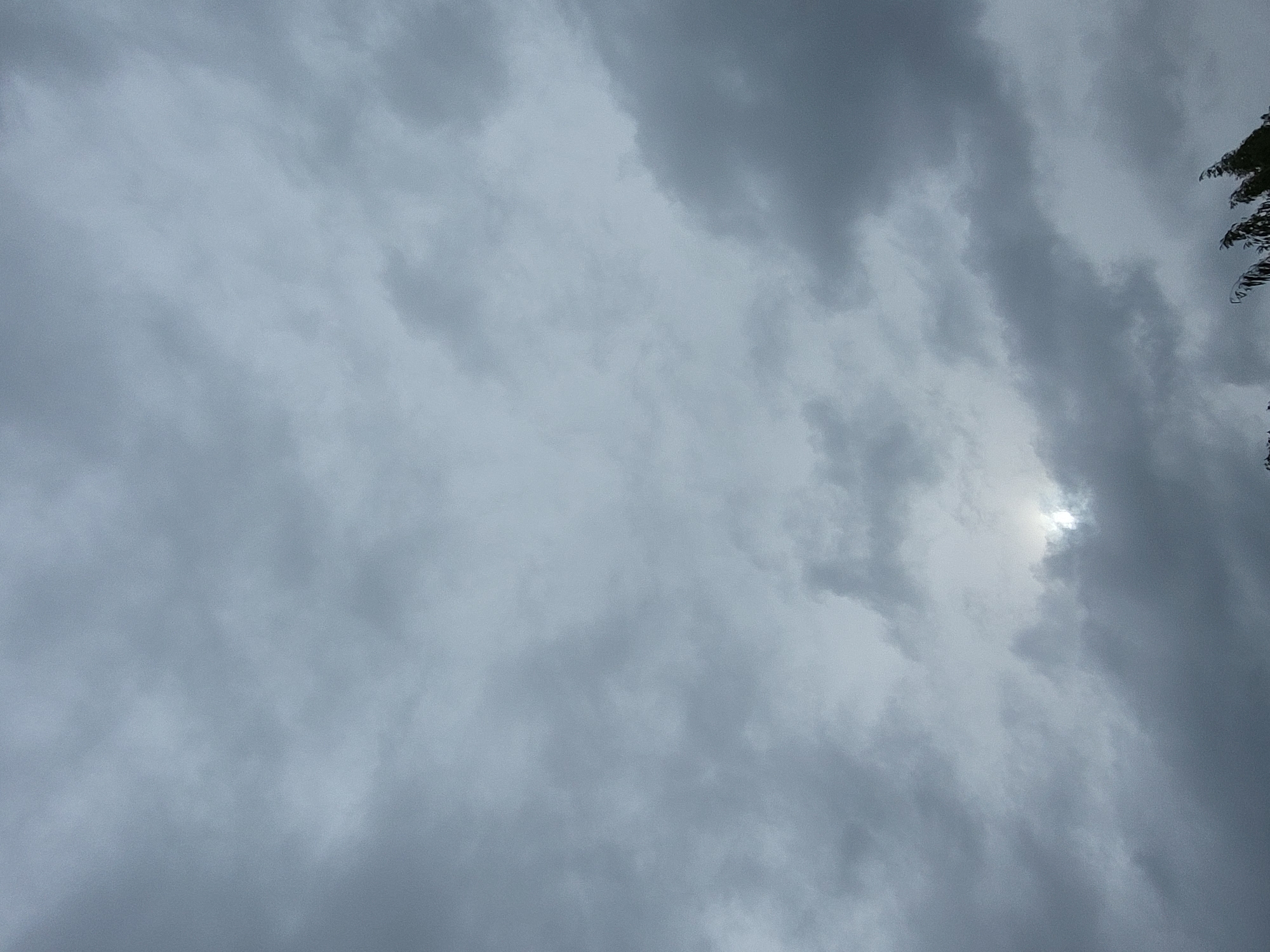The image depicts a cloudy sky over the city of Jelgava, Latvia. The clouds are dark and heavy, suggesting overcast or stormy weather. The sun is partially visible through a gap in the clouds, casting a faint glow. In the foreground, the tops of a few trees are visible, their branches silhouetted against the sky. There are no people or specific landmarks identifiable in the scene. The overall impression is one of a gloomy or dramatic sky.