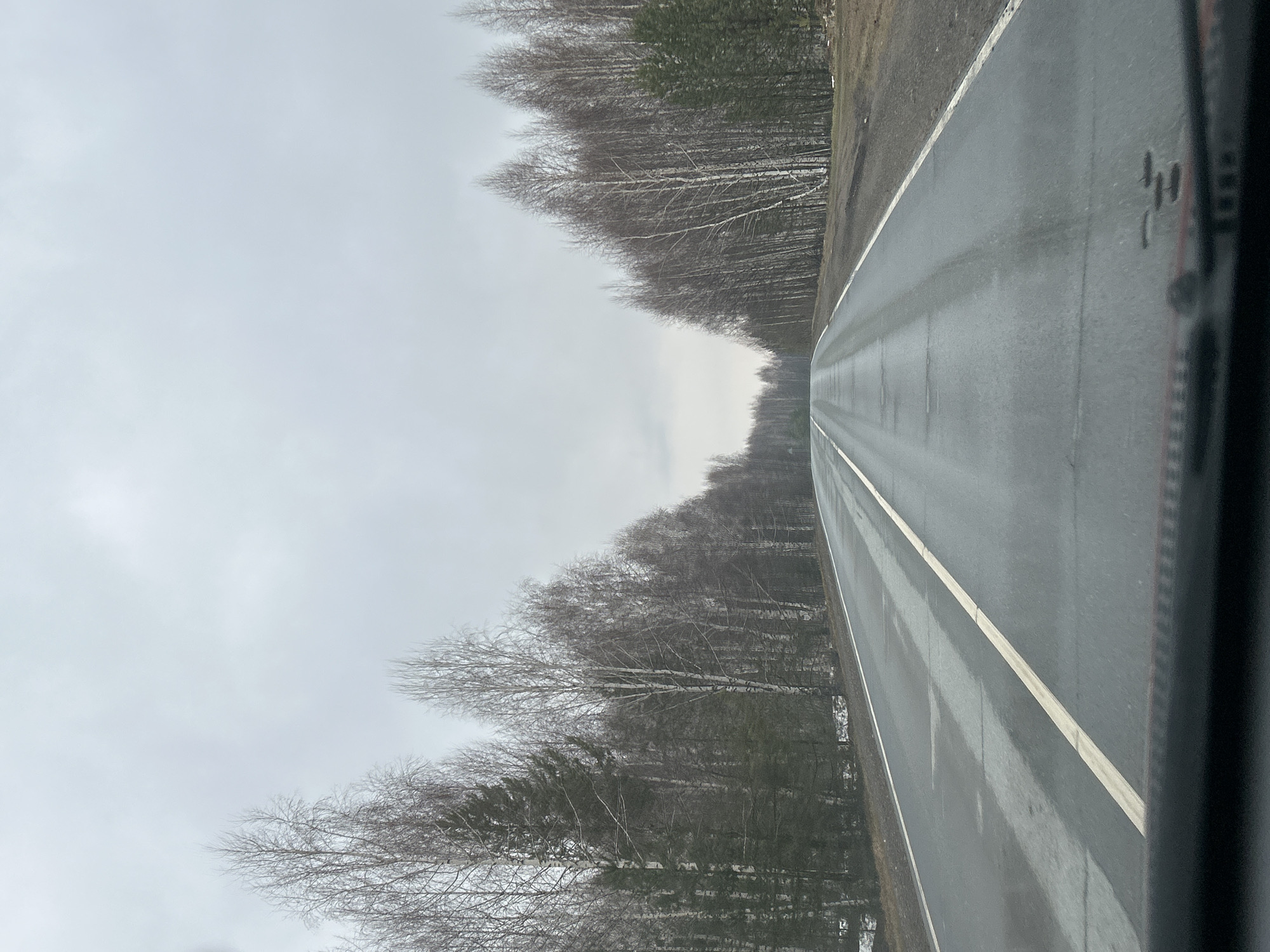 The image shows a view from inside a vehicle, likely a car, looking out at a road. The road is wet and has a white line marking the lanes. On either side of the road are trees, appearing bare of leaves, suggesting either late autumn or winter. The sky is overcast. The image is taken on a road on a overcast day, and the image is rotated 90 degrees to the right. There is no information to confirm the location is Zhigalki, Russia.