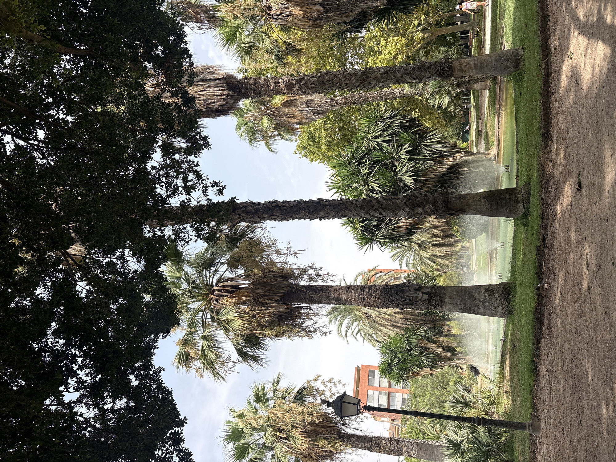 The image depicts a lush park scene in Valencia, Spain, likely the Jardí del Túria, a large urban garden situated in the former Turia River bed. Towering palm trees dominate the foreground, their fronds casting dappled shadows across a dirt path in the lower portion of the frame. Beyond the trees, a fountain sprays water into a pond, creating a misty effect. In the middle ground, a vintage lamppost stands to the left, its dark metal structure contrasting with the vibrant green foliage and the brick building visible behind it. Several individuals are present in the park, including a woman walking in the background on the right, wearing a white top and a pink hat. Two small birds are visible on the grass near the pond. The overall atmosphere is one of a serene and well-maintained urban oasis, typical of Valencia's green spaces.