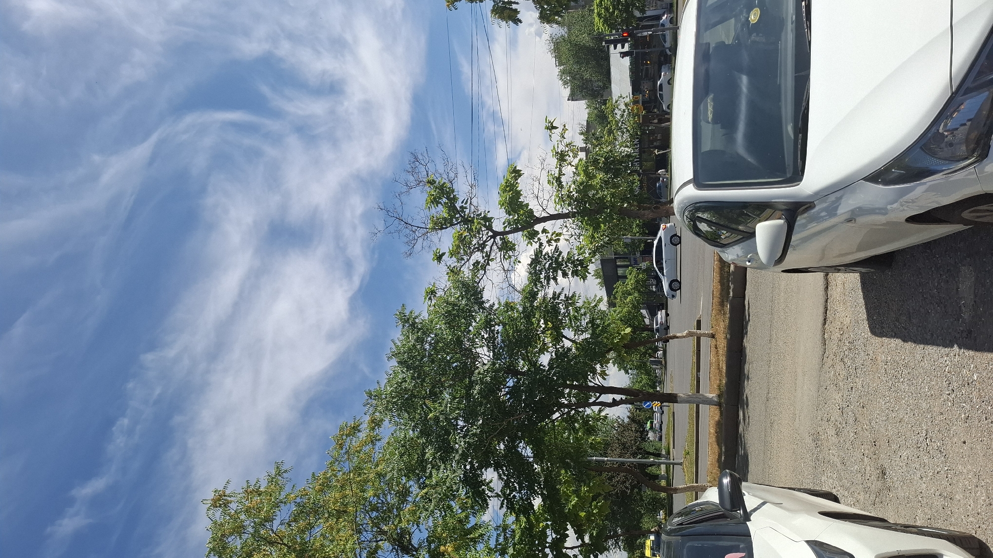 The image captures a street scene in Shymkent, Kazakhstan, under a partly cloudy sky. The foreground is dominated by the side of a white car parked on a gravel surface, with a shadow cast by the car on the ground. To the left, another white car is partially visible. A paved road runs parallel to the parked cars, with a grassy median strip separating it from oncoming traffic. Several trees with green foliage are planted along the median and on the side of the road, some with white-painted trunks. In the background, there are buildings with storefronts, and traffic lights. White cars are seen driving on the road, including one in the middle ground moving towards the right. Power lines are visible strung across the sky. The overall impression is of a typical urban street on a bright day.
