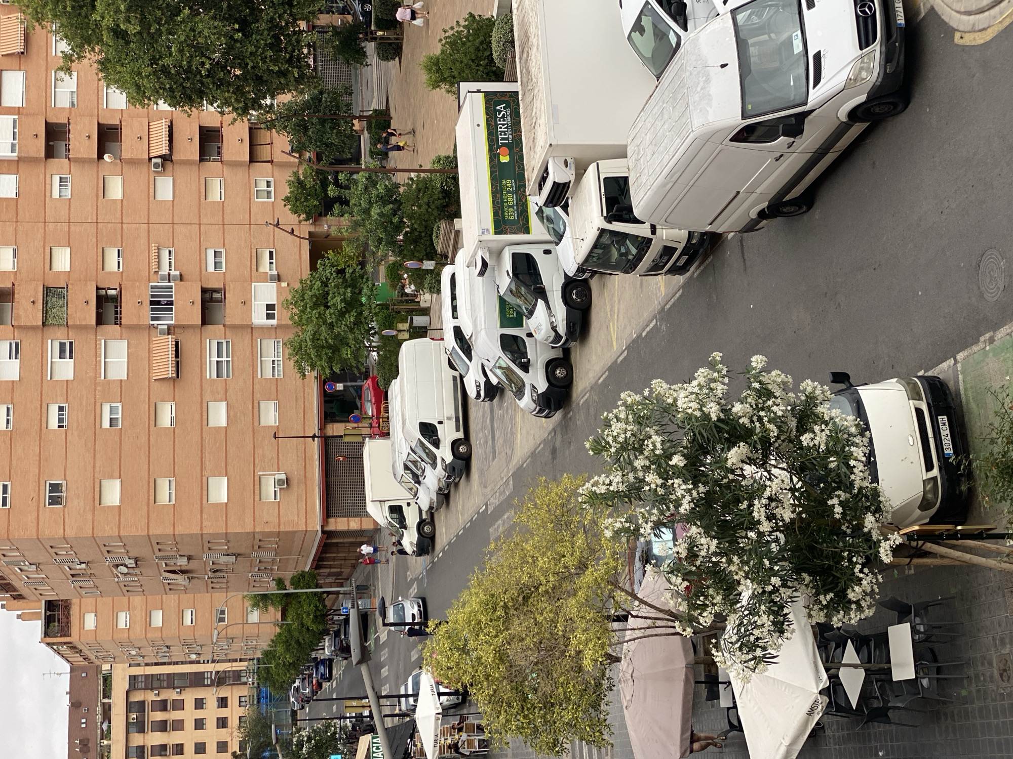 The image shows a street scene in Valencia, Spain, with multiple white delivery vans parked along the side of a road. In the foreground, there is a white van with the license plate "3024 CMH" parked near an outdoor seating area with tables and chairs under umbrellas. A tree with white flowers is in bloom next to this van. Further down the street, there is a larger white truck with "TERESA FRUITES I VERDURES" printed on its side. Other white vans and a red car are also visible. Buildings with many windows line the opposite side of the street, and trees and greenery are interspersed throughout the urban landscape. Several people are walking on the sidewalk in the background. The sky is overcast.