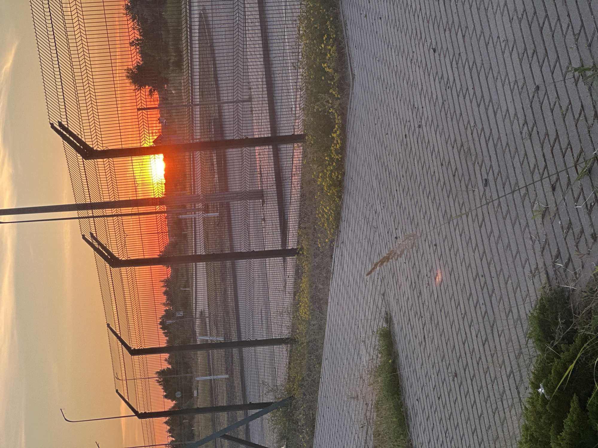 The image depicts a sunset over a fenced area in Hora, Ukraine. The foreground is a paved walkway made of grey rectangular bricks. Wild grasses and some yellow wildflowers grow along the edge of the walkway and in patches on the pavement. A wire mesh fence runs horizontally across the middle ground, supported by dark metal posts. Beyond the fence, there are more paved areas and sparse vegetation, including trees. The sun, a bright orange disc, is low on the horizon, casting a warm glow and vibrant red and orange hues across the sky and the scene. The sky is partly cloudy with streaks of yellow and orange. A tall, dark pole, possibly a lamppost, is visible on the left side of the image. There are no people or animals visible in the scene. The overall impression is one of an industrial or open area on the outskirts of a town during a colorful sunset.