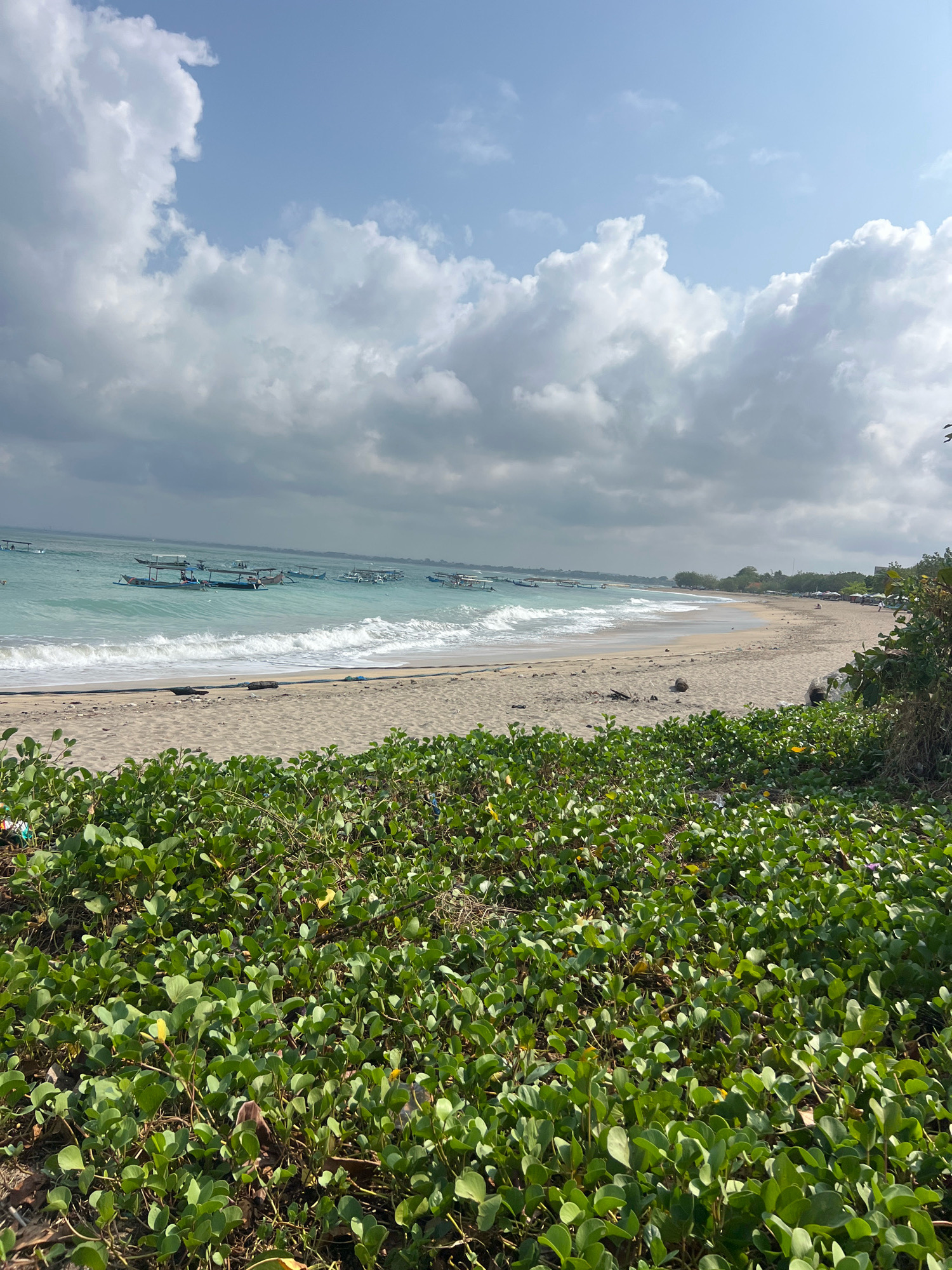 The image depicts a scenic view of Kuta Beach in Bali, Indonesia. The foreground is dominated by lush green vegetation, possibly Ipomoea pes-caprae, sprawling across the sandy shore. In the mid-ground, the gentle waves of the turquoise ocean lap against the sandy beach. A line of traditional Balinese fishing boats, known as "jukung," are anchored in the shallow water, some with their characteristic outriggers visible.
Further down the beach, the sand stretches out, and a few scattered beach umbrellas and loungers suggest a leisurely atmosphere. The horizon is dotted with more distant boats and the faint outline of the coastline. The sky above is a mix of bright blue and fluffy white clouds, indicating a pleasant day. The overall impression is one of a tranquil tropical paradise, capturing the essence of Kuta's famous coastline.
