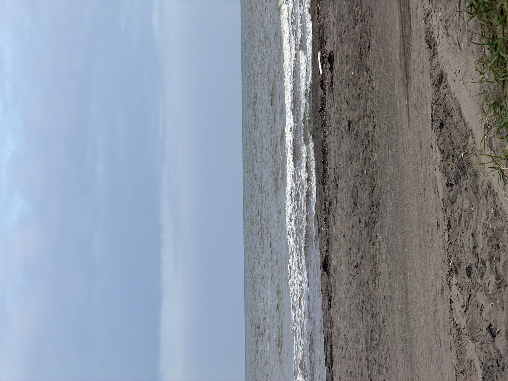 The image depicts a beach scene with the Sea of Okhotsk in the background. The sky is overcast with a pale blue hue, and a layer of clouds stretches across the horizon. The sea is a muted gray, with gentle waves breaking on the shore. The beach itself is composed of dark, damp sand, with some debris scattered along the high-tide line, including a piece of driftwood on the right. Tire tracks are visible in the sand, suggesting vehicle access. In the foreground, some green grass grows at the bottom right edge of the frame. The overall impression is of a cool, somber day at the Aniva beach in Russia.