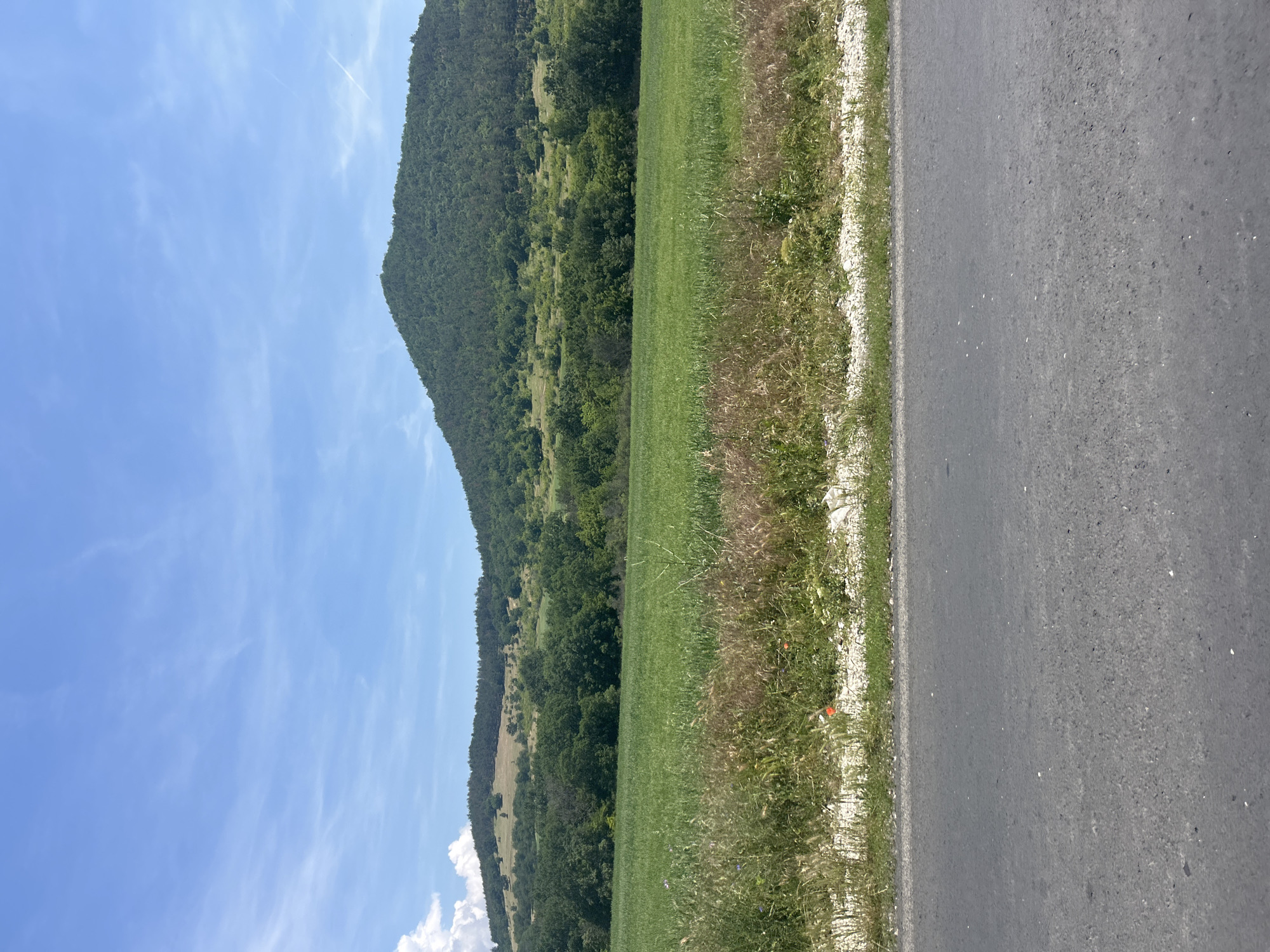 This image captures a serene rural landscape in Pesnopoy, Bulgaria, under a bright, sunny sky. The scene is composed of a road, a grassy verge, a large green field, and forested hills against a blue sky.
In the foreground, a dark gray asphalt road runs along the right side of the frame, extending horizontally. To its immediate left, a narrow, light-colored gravel shoulder or verge separates the road from a strip of dry, mixed green and brown grass and wildflowers, including a few small red blossoms.
Beyond the verge, a lush, vibrant green field dominates the mid-ground, stretching towards a line of hills. These hills are densely covered with dark green trees, forming a thick forest that rises prominently against the horizon. The forested hills appear rugged and natural, suggesting a mountainous or hilly region.
The upper portion of the frame is filled with a clear, bright blue sky, adorned with scattered, wispy white clouds. The lighting indicates it is daytime, likely mid-morning or afternoon, with strong sunlight illuminating the landscape.
There are no people, animals, or man-made structures visible in the image, other than the road itself. No text is visible. The overall impression is one of peaceful natural beauty and a tranquil rural setting.