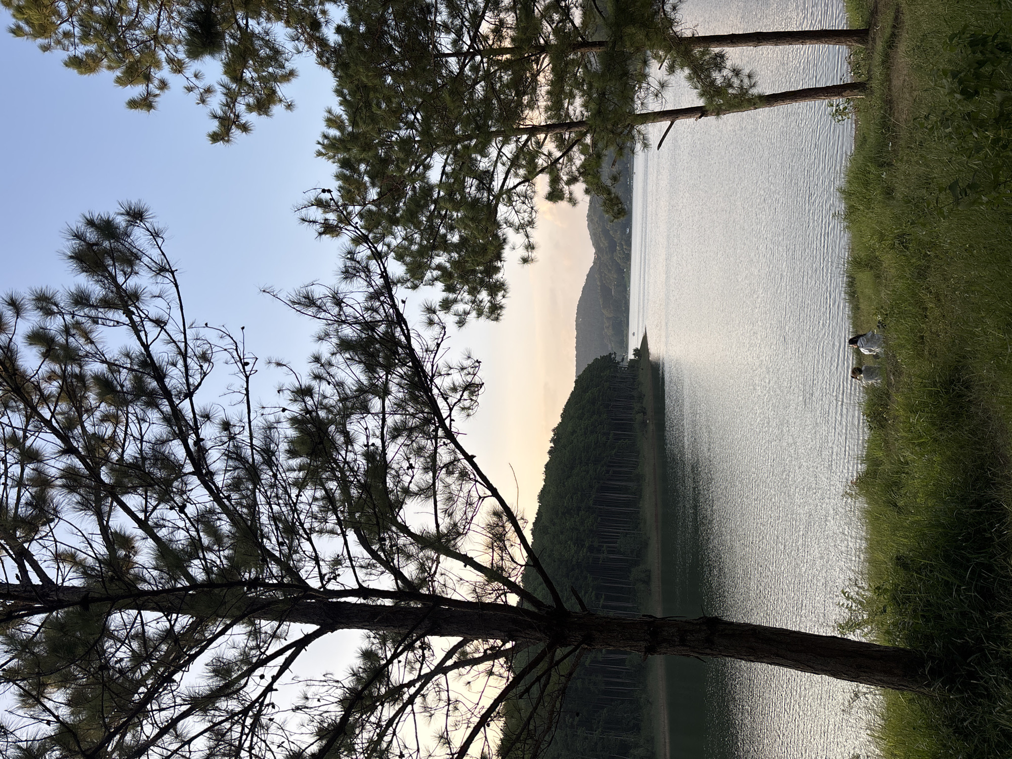 The image depicts a serene lake scene, likely in Da Lat, Vietnam, characterized by lush green pine forests lining the distant shore. In the foreground, tall pine trees stand as natural framing elements, their branches reaching towards a pale blue sky. A calm, reflective lake occupies the mid-ground, its surface rippling gently. On the grassy bank in the lower right, two individuals, appearing to be seated or lounging, are visible. The lighting suggests it may be late afternoon or early evening, with soft light illuminating the landscape and casting gentle reflections on the water. The overall atmosphere is peaceful and natural.