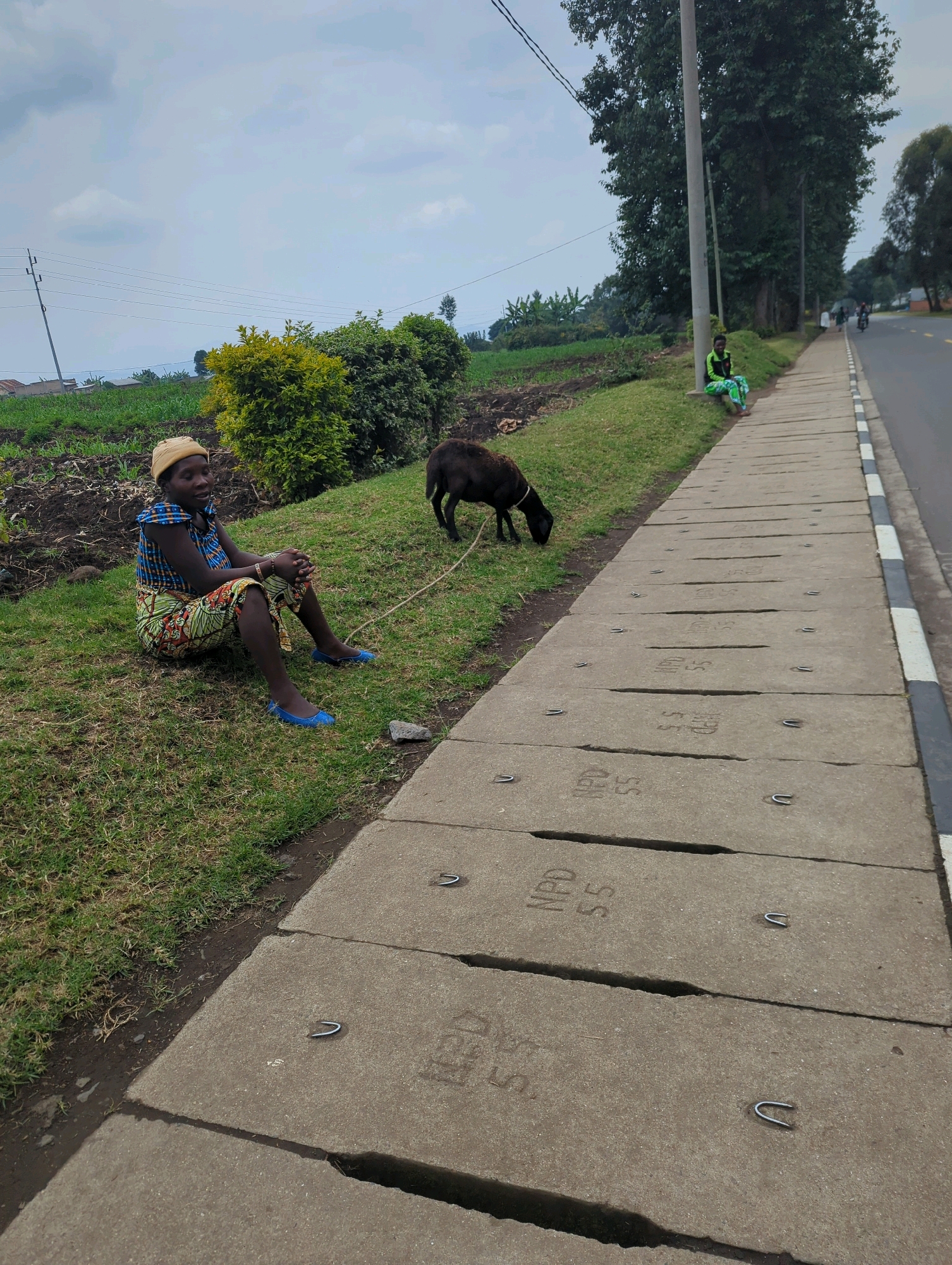 A woman wearing a yellow headscarf and a colorful patterned dress is sitting on the grass next to a paved sidewalk in Musanze District, Rwanda. She is looking to her left with her hands clasped. A dark-colored goat is tethered to her by a rope and is grazing on the grass nearby. The sidewalk is made of large concrete slabs with metal loops embedded in them. Beyond the sidewalk, a paved road is visible with a few people and a motorcycle in the distance. To the left of the woman, there is a field with cultivated crops and some trees. The sky is overcast.