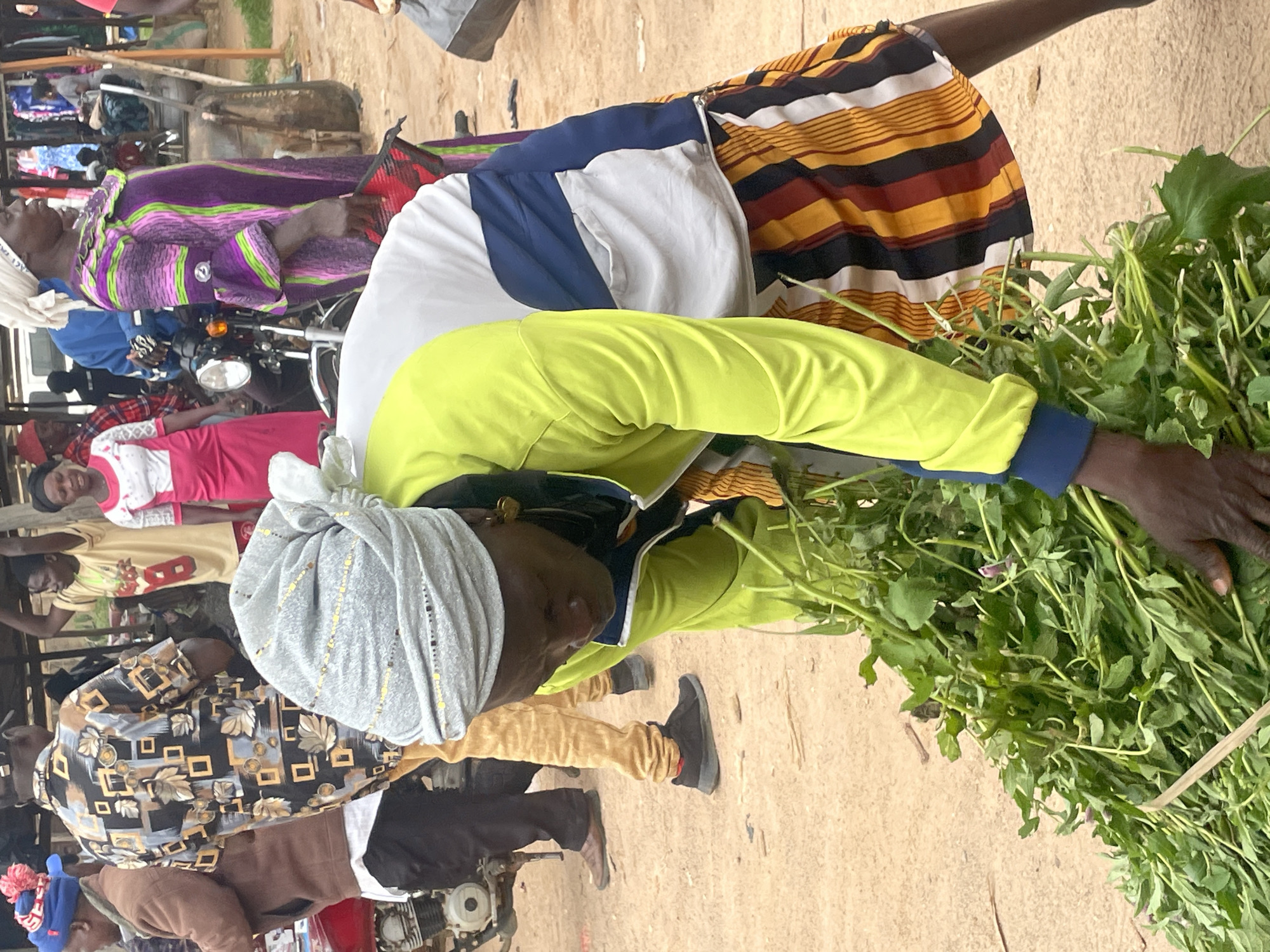 This image captures a bustling outdoor market scene in Wang, Nigeria. The central subject is a person wearing a light green long-sleeved shirt and a light grey headscarf, bent over a large bunch of leafy green vegetables. Their hands are engaged with the produce, suggesting they are either sorting, preparing, or selling it.
Around this central figure, other people are visible, some in the background and others closer, adding to the dynamic atmosphere of the market. One person in the mid-ground is wearing a purple and green striped garment, standing near a motorcycle. Another individual is dressed in a patterned shirt with black, brown, and gold motifs. Further back, glimpses of other shoppers and stalls can be seen.
The setting appears to be a dusty, open-air market. The ground is rough and sandy, typical of many rural or semi-urban markets. The presence of motorcycles suggests a mode of transportation and commerce common in the region. The lighting implies it is daytime, likely a warm day, given the open setting and the nature of the activity. There are no explicit indicators of specific weather conditions, but the overall impression is one of active commerce and community engagement.
The clothing styles, including the headscarves and brightly colored fabrics, are indicative of the local culture. The focus on fresh produce points towards a food market where local produce is sold. While emotions are not explicitly conveyed, the engaged posture of the main subject and the general activity suggest a normal day of work and trade in the market. No visible text is discernable in the image.