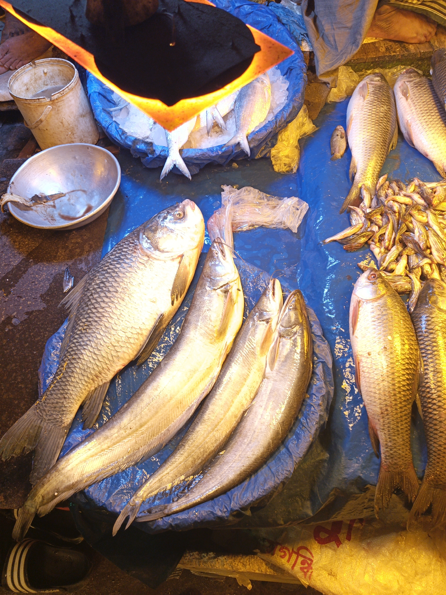 The image shows a fish market in Dhaka, Bangladesh. A variety of fish are displayed on a blue tarp, including larger carp-like fish with scales, silver-colored fish with long, slender bodies, and a pile of smaller fish. Some of the fish are on ice in a blue plastic bag. A metal bowl containing fish parts sits on the ground to the left of the tarp. In the upper left corner, there's a glimpse of a bare foot and a bucket. A pan with black oil, framed by a bright orange reflection, is positioned over the fish on ice. Part of a shoe with white stripes is visible in the lower left corner. The background is somewhat obscured, but it appears to be a busy market setting.