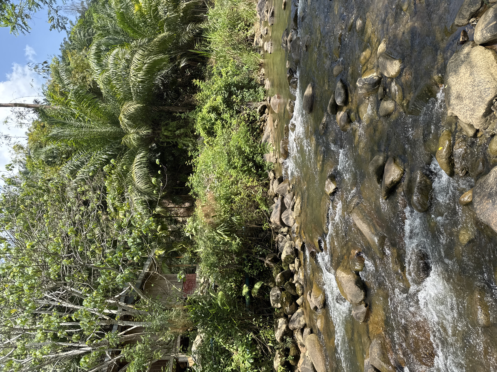 The image depicts a flowing river in Tambon Song Phraek, Thailand. The riverbed is composed of numerous rocks of varying sizes. Dense vegetation, including palm trees and bushes, lines the riverbank. A small wooden structure is visible amidst the foliage on one side. The water appears clear, with areas of turbulent flow over the rocks. The sky is partially visible, with a few clouds.