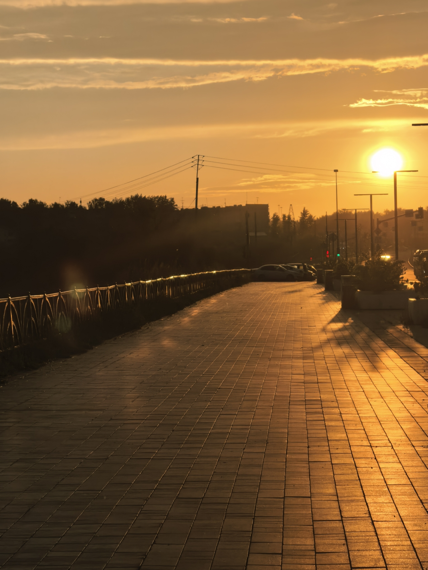 A vertical, eye-level, full shot captures a paved walkway alongside a river or body of water, bathed in the warm glow of a setting sun. The sun, a bright disc low on the horizon, casts long shadows across the path, which is made of rectangular bricks laid in a linear pattern. To the left of the walkway, a decorative metal railing runs along the edge, its metallic surface reflecting the sunlight. Beyond the railing, a dark, silhouetted line of trees and vegetation forms a backdrop against the vibrant sky. The sky itself is a canvas of oranges and yellows, with streaks of lighter clouds. In the distance, against the horizon, are the outlines of buildings, streetlights, and electrical wires, suggesting an urban environment. A few parked cars are visible on the right side of the image, and in the foreground, potted plants line the edge of the walkway. The overall impression is one of a serene, urban sunset.