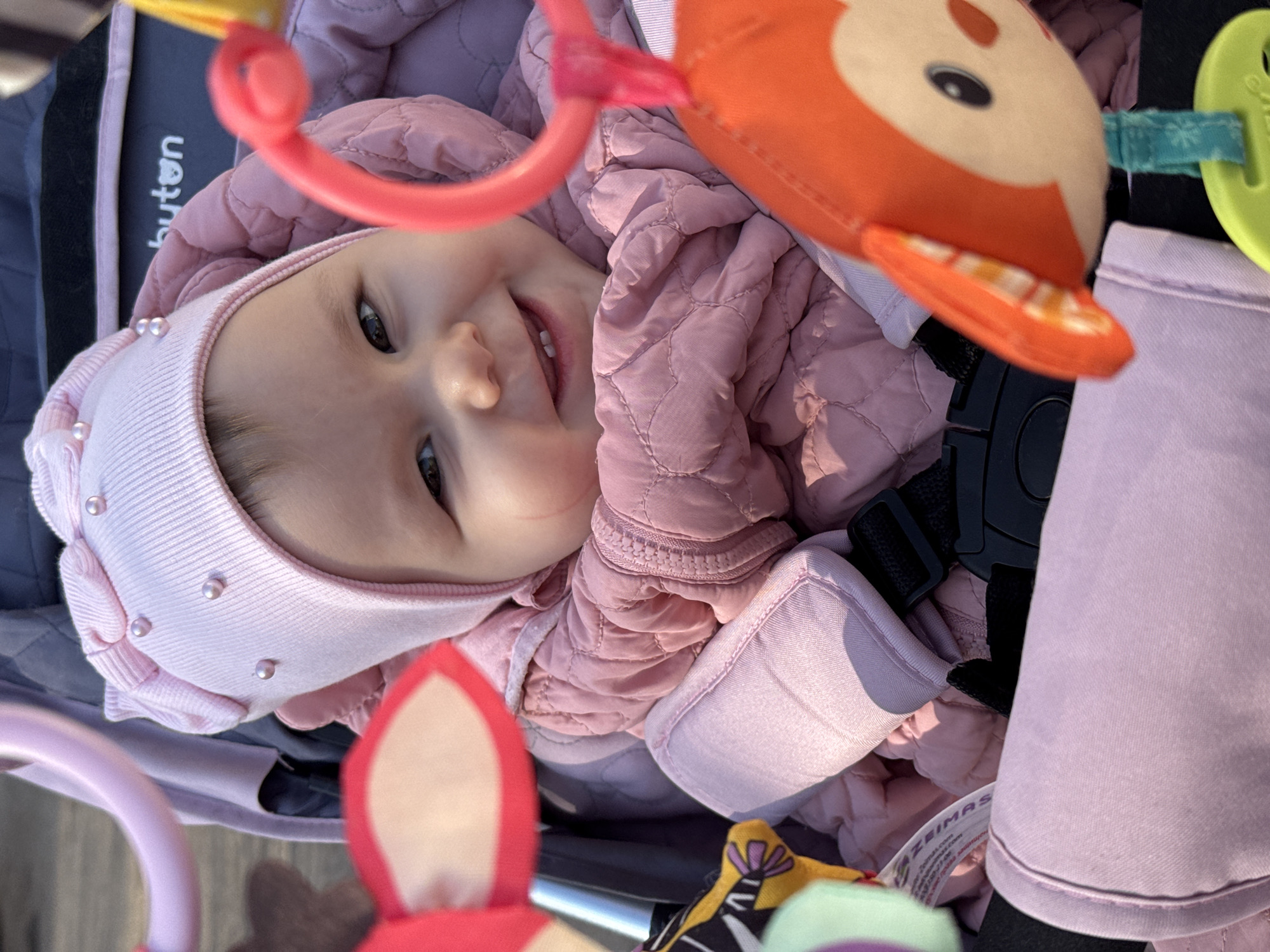 A baby wearing a pink quilted jacket and a pink hat is lying in a stroller. The stroller has toys attached to the bar above the baby. The toys are colorful and include a fox, a deer, and other shapes. The baby is smiling. The image is taken from above, looking down into the stroller. There is no indication of the location or whether the image was taken in Zav'yalovo, Russia.