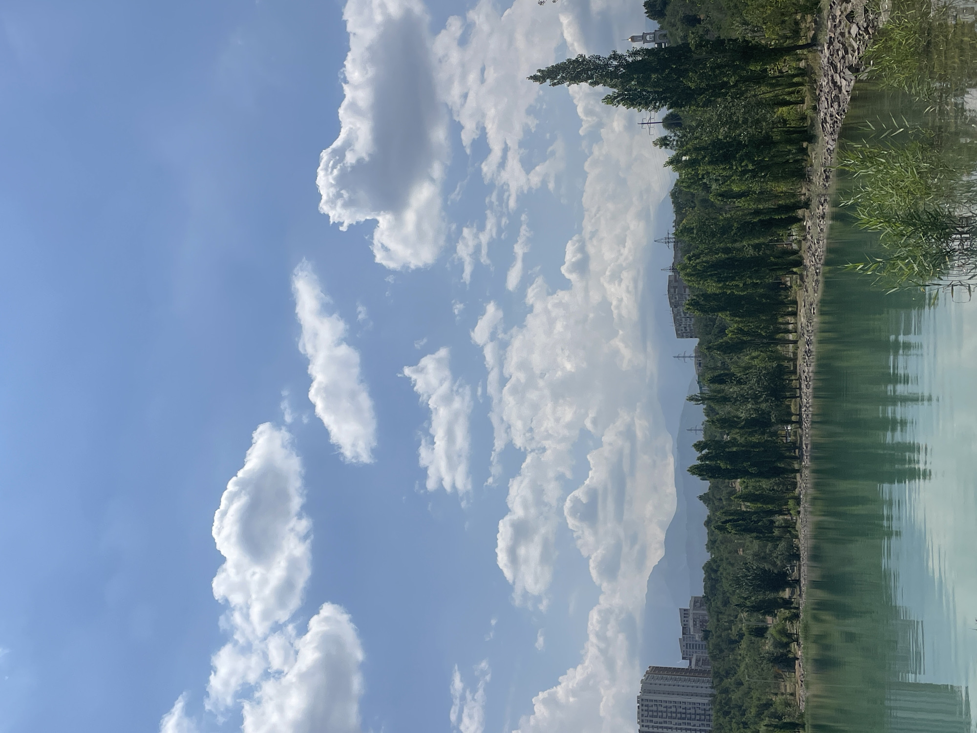 The image depicts a serene landscape with a body of water in the foreground, likely a lake or reservoir, reflecting the sky and surrounding vegetation. The water is a clear, turquoise hue. Along the edge of the water, a rocky shoreline transitions into a lush green bank lined with a dense row of tall, slender trees. Beyond the trees, the terrain slopes upward, revealing a hillside dotted with more trees and some urban development. In the distance, several apartment buildings and other structures are visible, with mountains forming a backdrop under a bright blue sky scattered with fluffy white clouds. The presence of these buildings, particularly the tall apartment complexes and the distant mountains, suggests a location within or on the outskirts of Almaty, Kazakhstan, a city known for its proximity to mountainous terrain and its blend of urban and natural landscapes. Specifically, the scene resembles the area around the Large Almaty Lake or one of the other reservoirs in the vicinity, which are popular recreational spots. The lighting indicates it is daytime, likely late morning or early afternoon, with bright sunlight casting clear shadows and illuminating the scene. There are no people or discernible actions taking place; the image captures a static, natural environment enhanced by distant urban elements.