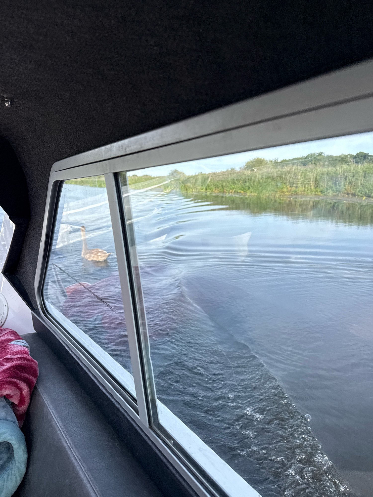 The image shows a view from inside a boat, looking out through a window. The boat appears to be on a body of water, possibly a river or canal, given the calm, narrow waterway and the reeds and vegetation lining the banks. The water has ripples, indicating movement. In the water, a single swan is visible swimming. The interior of the boat is visible in the foreground, with dark-colored upholstery and a blanket. The environment suggests a natural setting within North Norfolk, United Kingdom, likely a rural or semi-rural waterway.