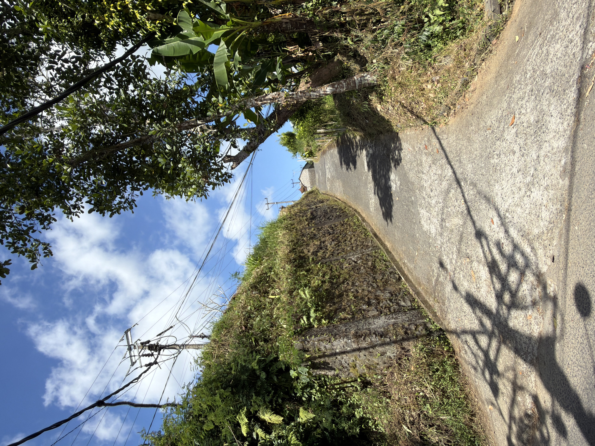 A paved road slopes uphill through a rural, tropical landscape. The road is bordered on the left by a steep, dry-stone retaining wall covered in vegetation, and on the right by a grassy embankment with trees and banana plants. Power lines run overhead, supported by utility poles. In the distance, a small building with a red roof is visible at the top of the hill. The sky is blue with scattered white clouds, and shadows of trees are cast across the road. The scene appears to be located in Baturiti, Indonesia.