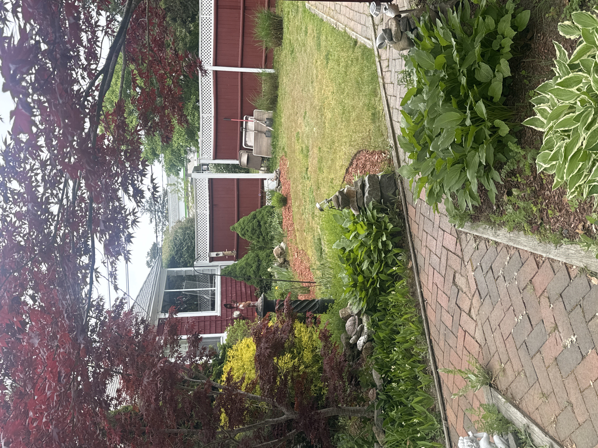 The image depicts a residential backyard in Eastham, Massachusetts, United States. A red brick pathway bordered by wooden planks leads from the lower right to the center-left of the frame, flanked by lush hosta plants and garden stones. To the left of the pathway is a garden featuring a black metal bird bath surrounded by various trees and shrubs, including a Japanese maple with burgundy foliage and a yellow-leaved bush. In the background, a red house with white trim is visible, as well as a red fence with white lattice. The yard is mostly covered with green grass, with some patches of brown mulch. Lawn chairs and gardening tools are visible near the fence in the center of the frame. The sky is overcast.