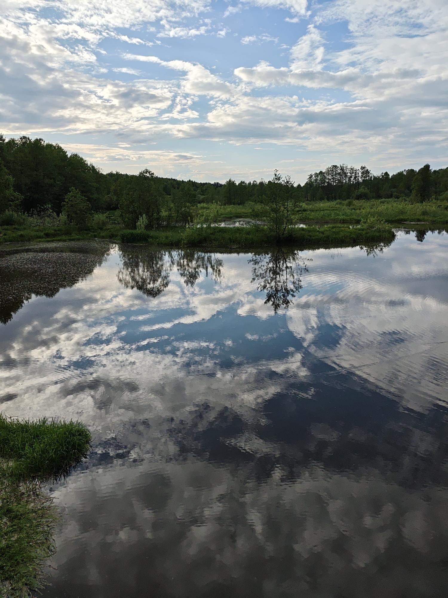 The image depicts a tranquil scene in Боровково, Russia, featuring a body of water reflecting a cloudy sky. The water surface mirrors the clouds, creating a symmetrical effect. Along the shoreline, there is a mix of vegetation, including grass and trees, which are also partially reflected in the water. The overall environment suggests a natural, undisturbed setting in a rural or semi-rural area of Боровково.