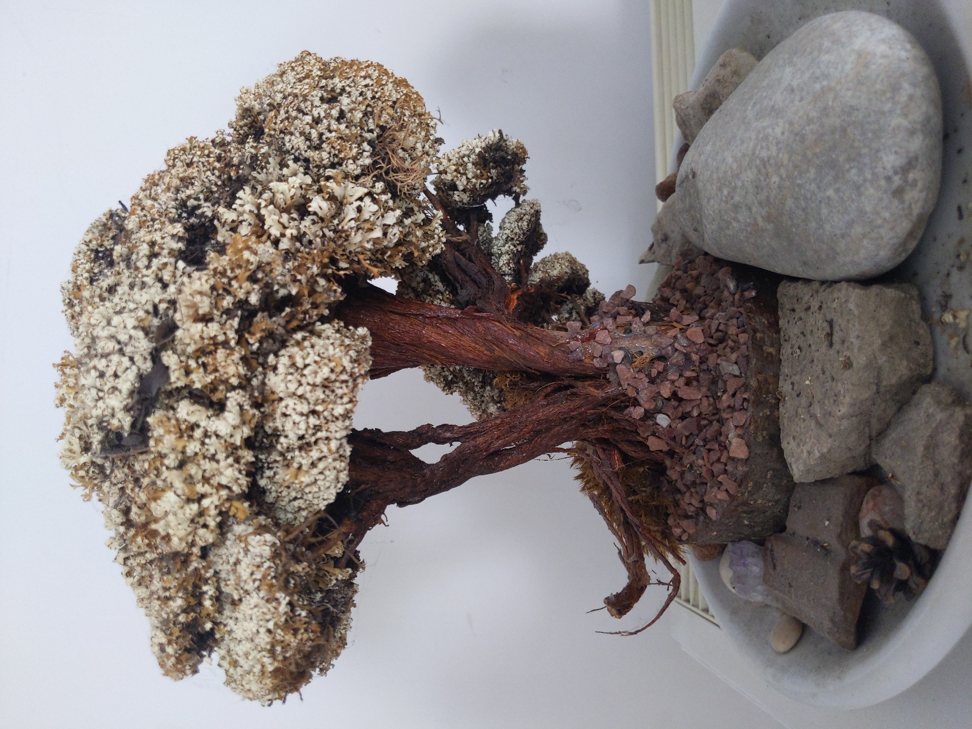 An artificial bonsai tree with a textured brown trunk and a dense canopy of light brown and white material sits in a white ceramic bowl. The base of the tree is surrounded by small reddish-brown pebbles. Several rocks of various sizes and colors, including a large smooth gray one, are arranged in the bowl. A small pinecone is visible among the rocks. The background is a plain white wall. The scene appears to be indoors, possibly on a shelf or table, as evidenced by the radiator beneath the bowl. There are no people or animals present. The lighting is soft and even, suggesting natural or artificial light from above. The overall impression is of a decorative arrangement, possibly intended to mimic a natural landscape. There is no information in the image to suggest a specific location in Kyiv, Ukraine.