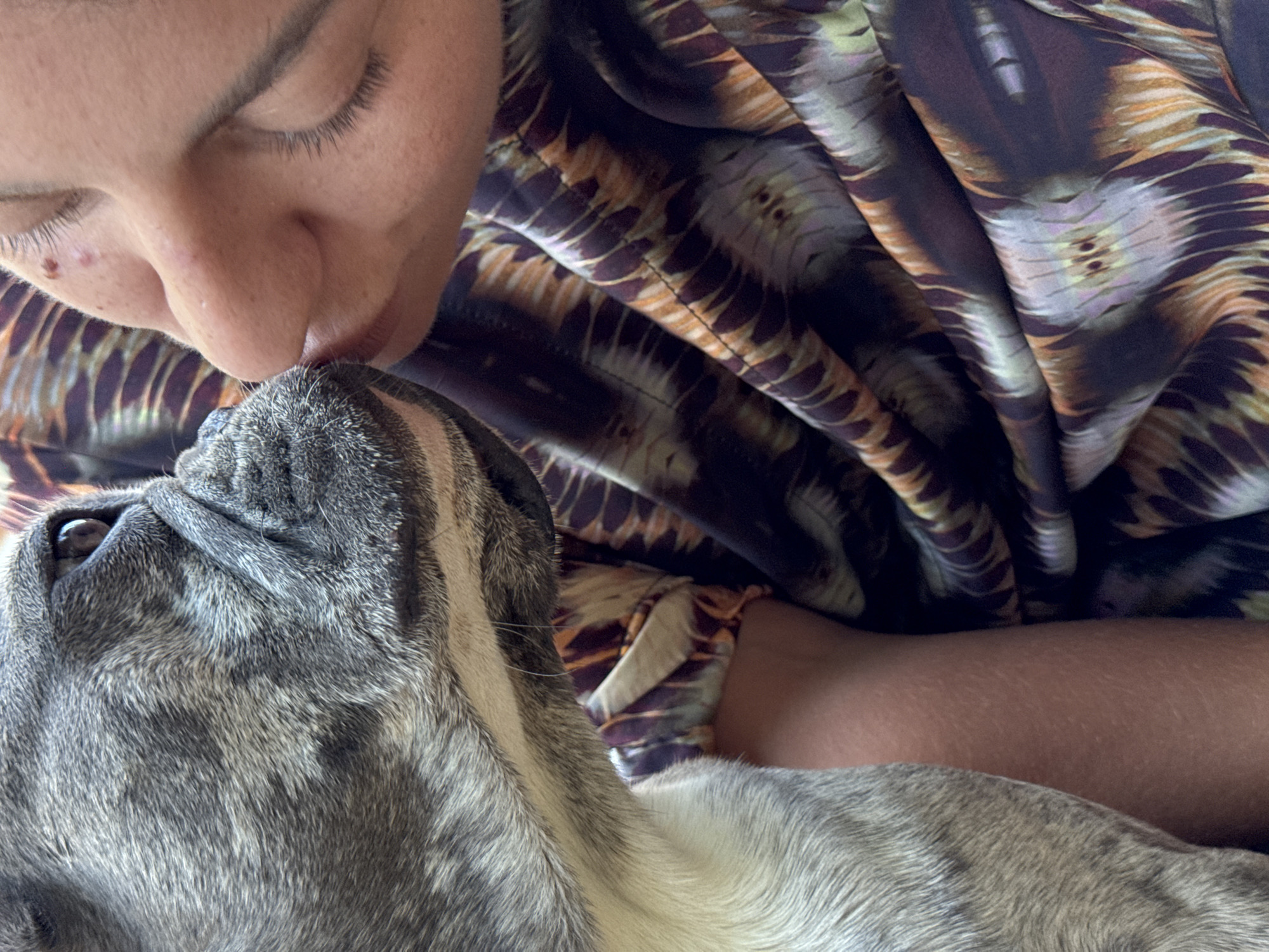 The media file shows a close-up, overhead shot of a person gently kissing the nose of a dog. The person's eyes are closed, and their face is turned towards the dog. The dog, a French Bulldog with brindle fur, is looking upwards. The person is wearing a patterned garment, likely a shirt or robe, with a design featuring shades of brown, orange, and purple. The setting appears to be indoors, with soft lighting suggesting daytime. The overall mood is one of affection and tenderness. No visible text is present in the image.